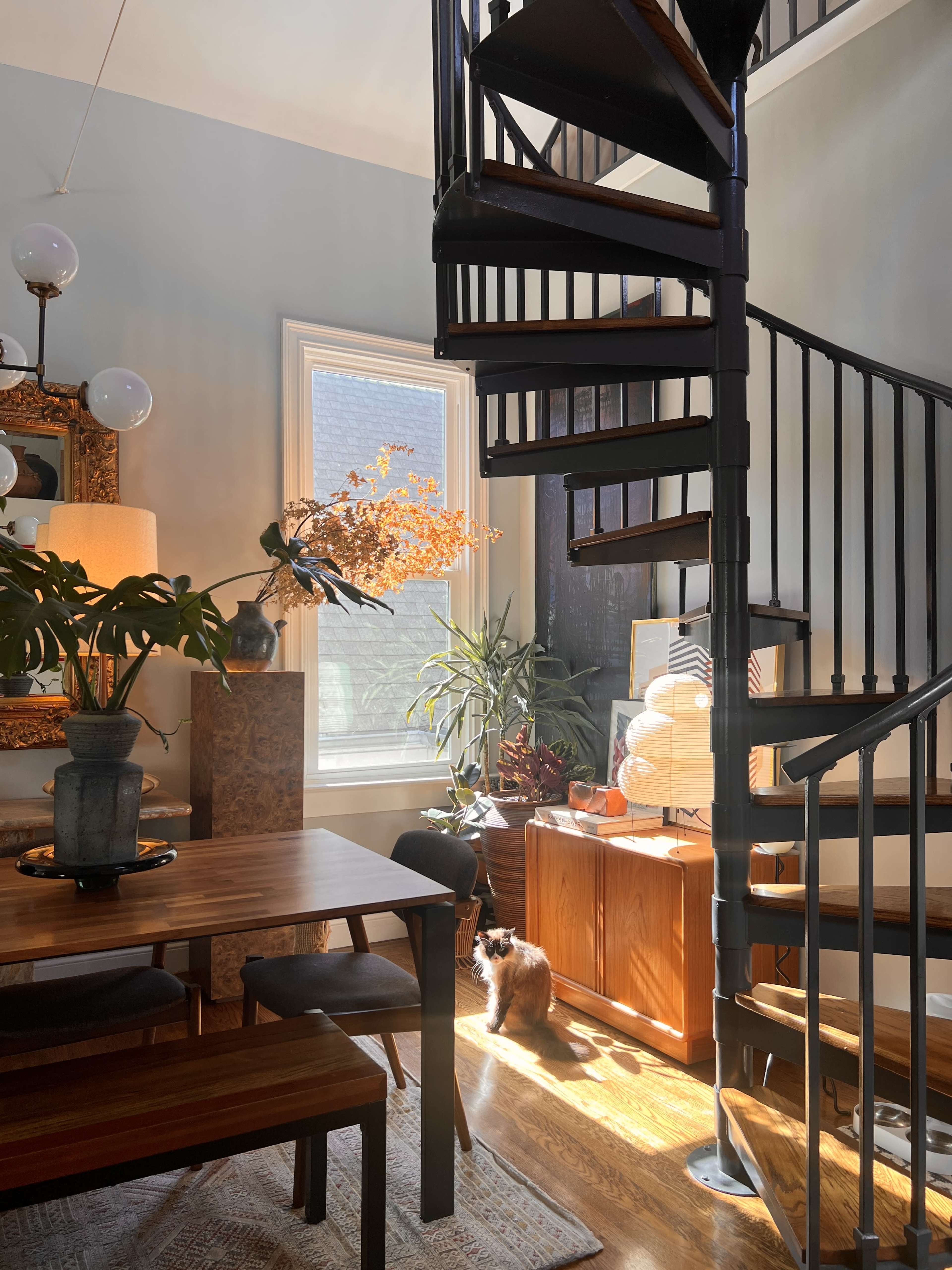 A spiral staircase ascends beside a dining area filled with plants and a small dog sitting in a sunlit corner.