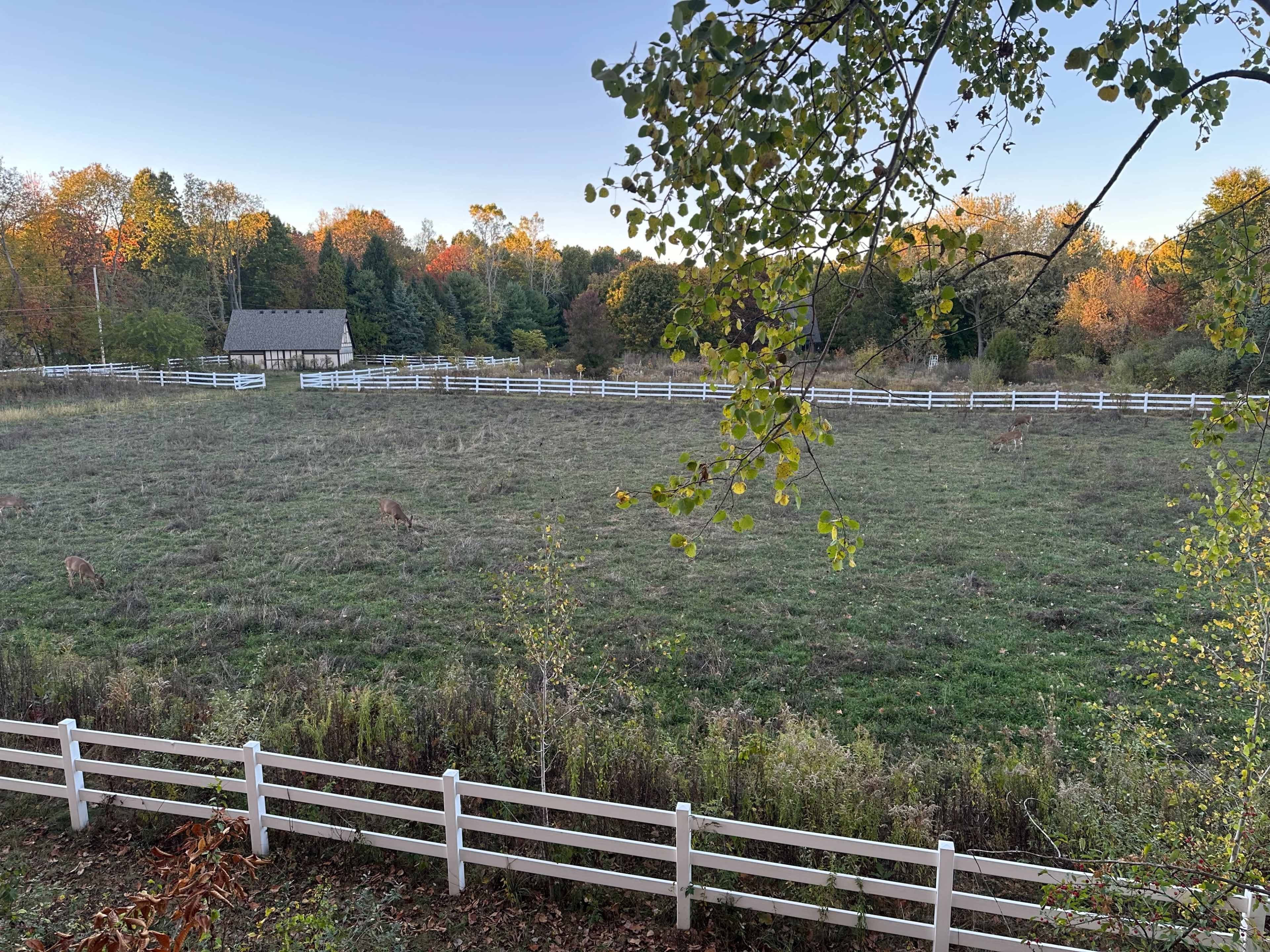 The image shows a spacious, grassy field surrounded by a white fence, with a few deer grazing, and a rustic building visible in the background among trees displaying autumn foliage.