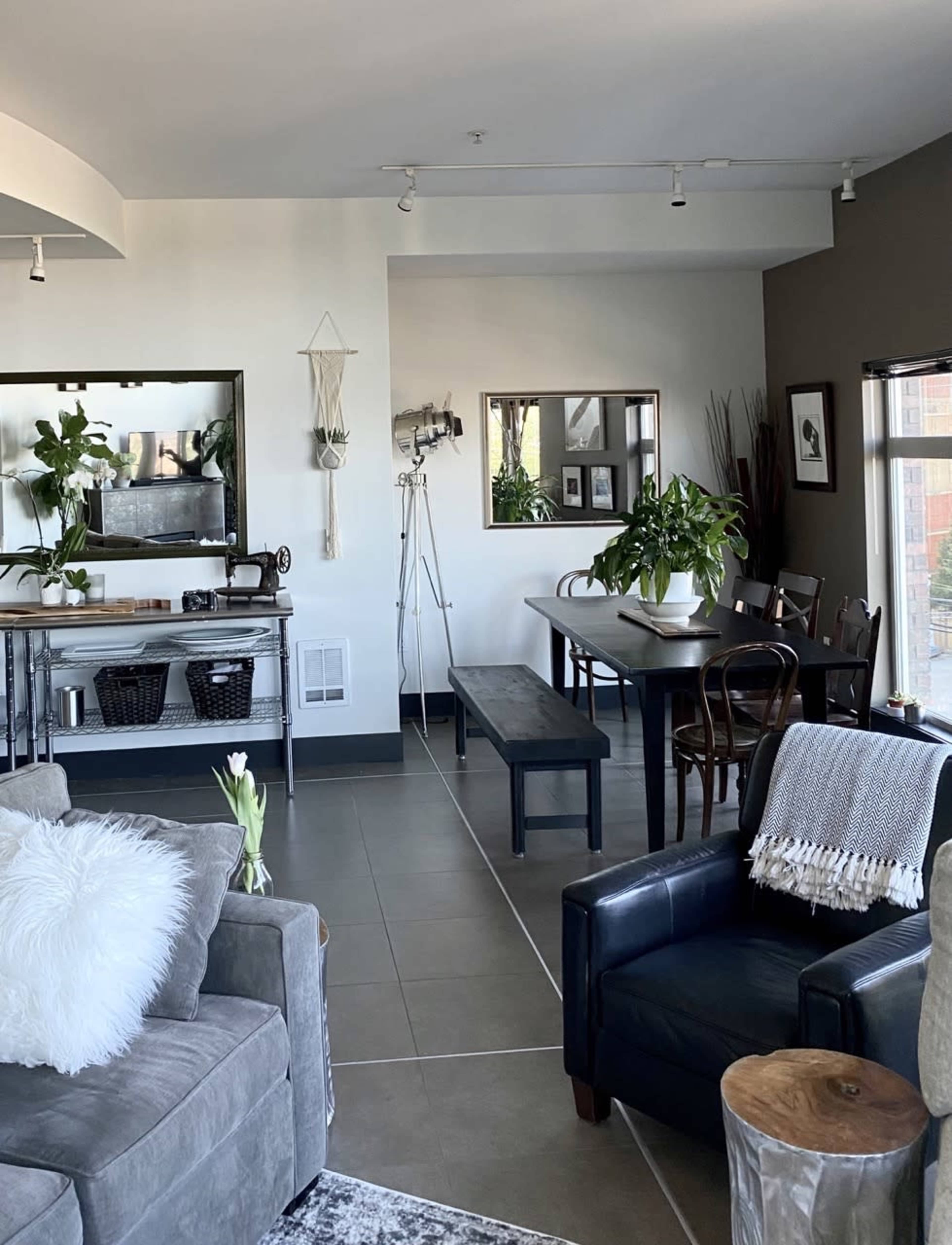 A modern living space featuring a gray sofa, a wooden dining table with chairs, and various plants arranged around the area.