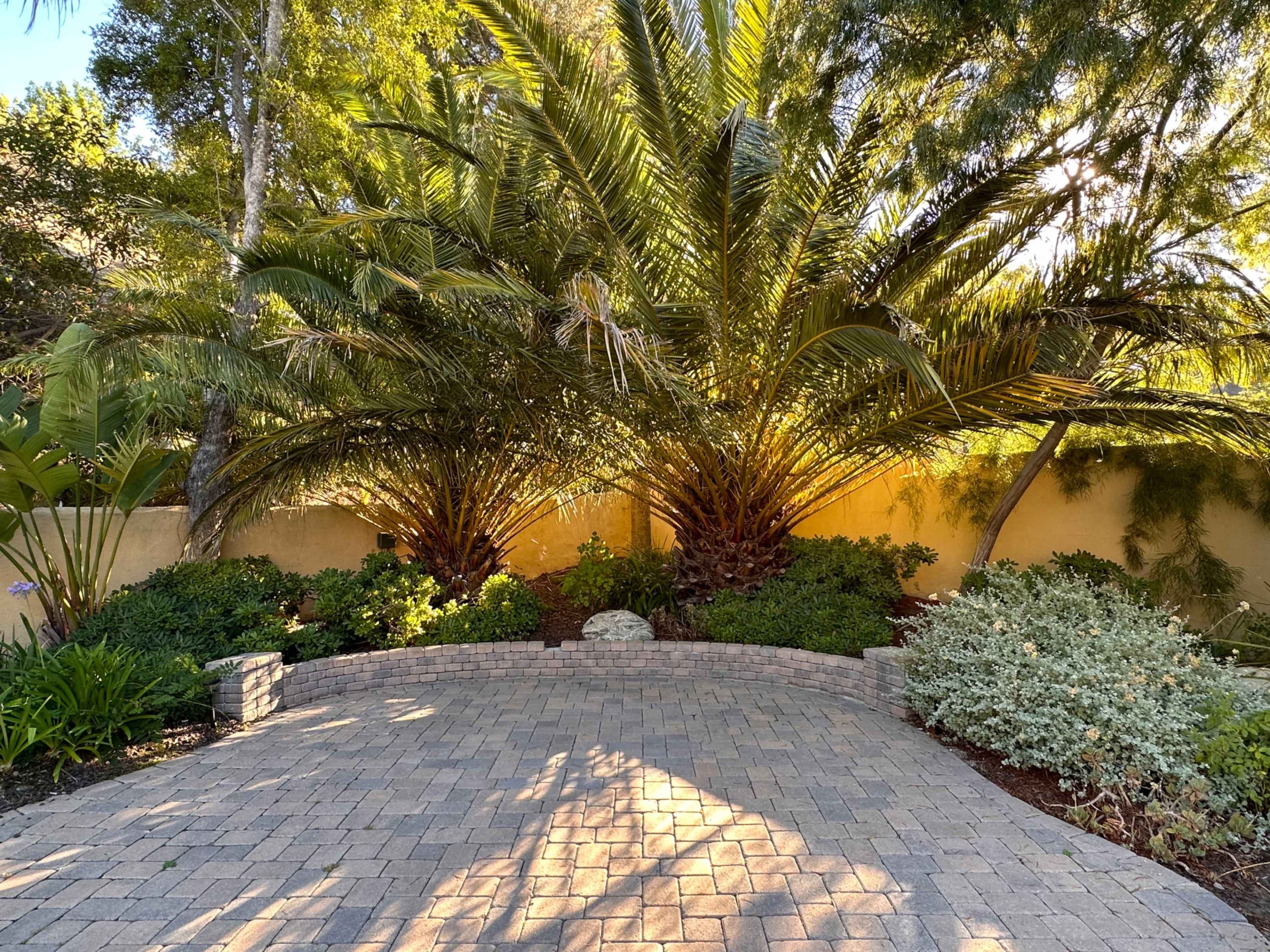 A landscaped area features a circular stone pathway surrounded by palm trees and shrubs.