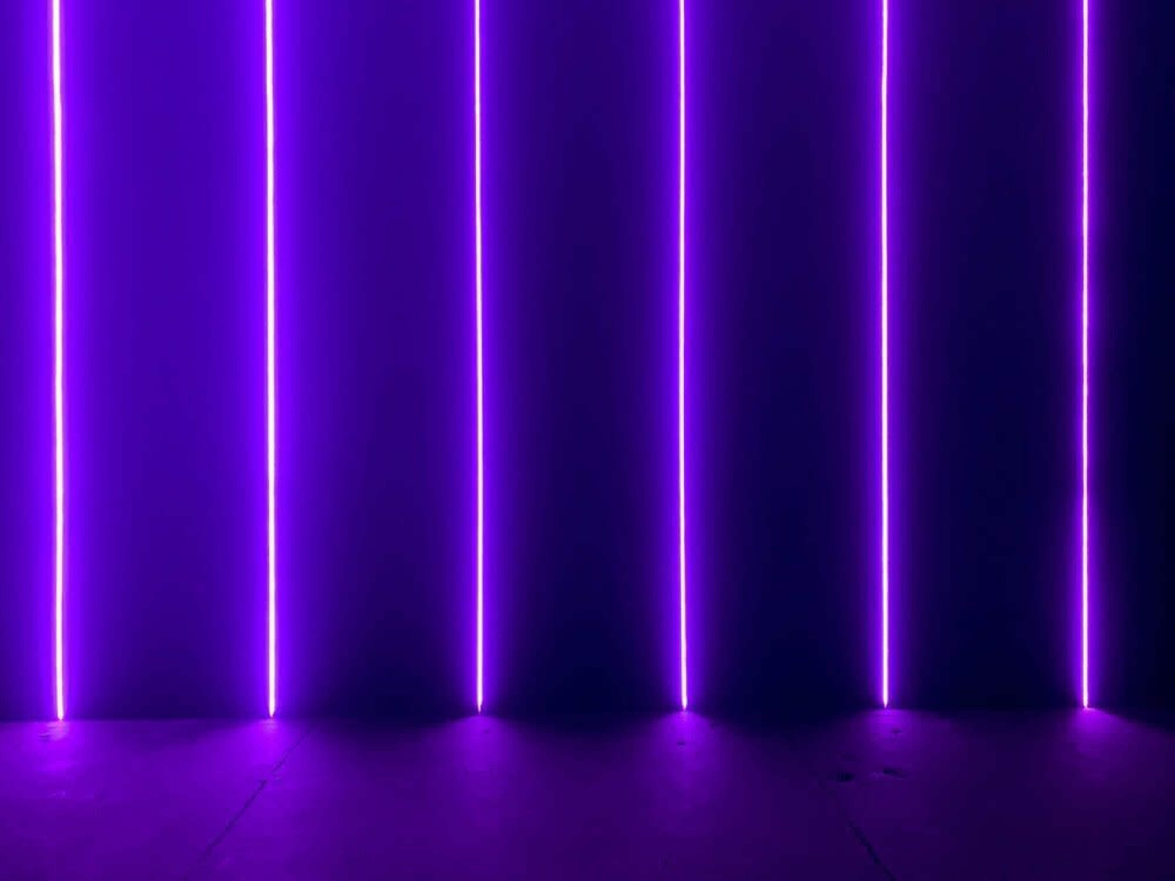 The image features a dark space illuminated by vertical purple neon lights.