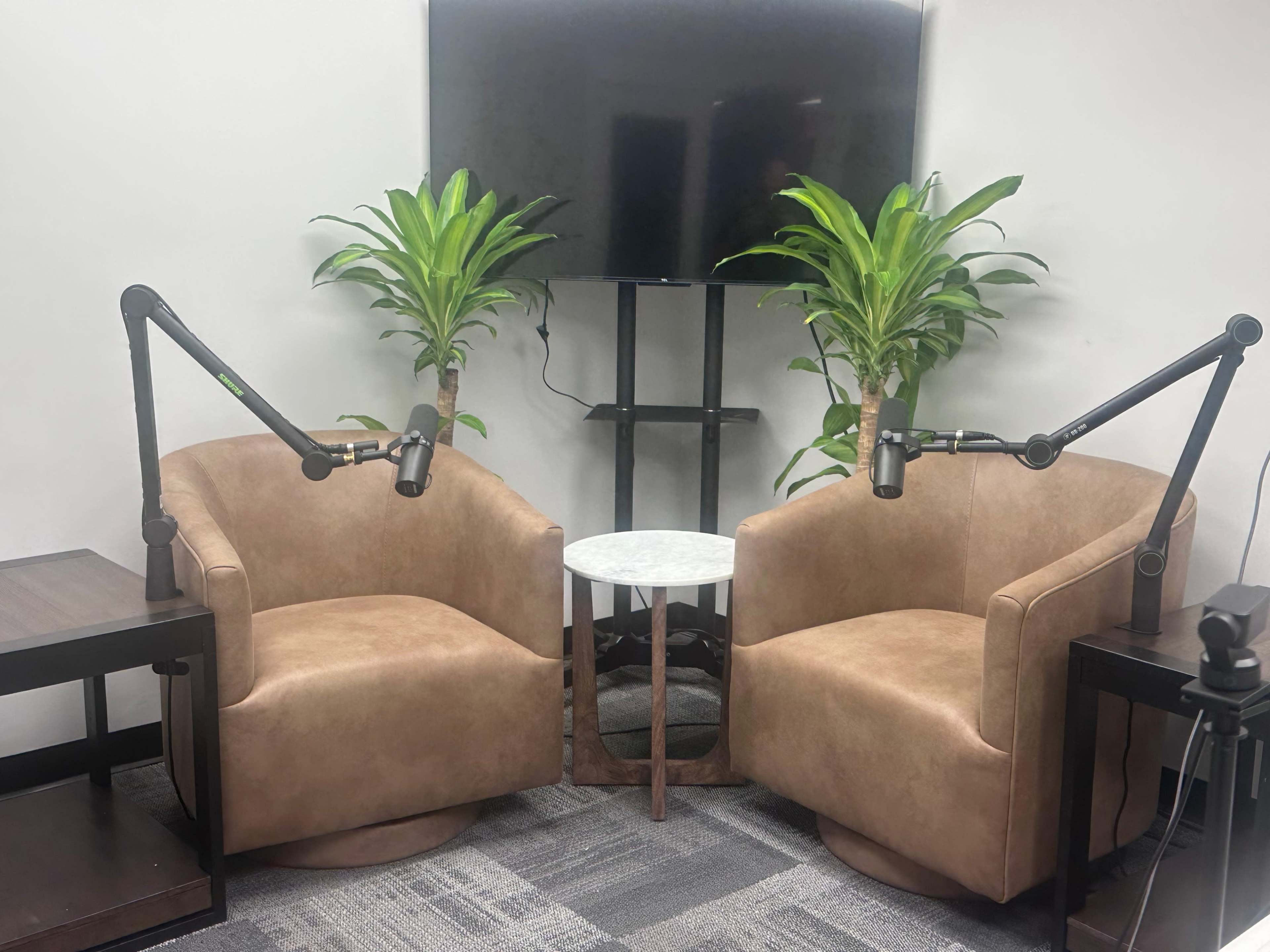 The image shows two brown armchairs with microphone stands positioned in front of a small round table and a wall-mounted television, all surrounded by greenery.