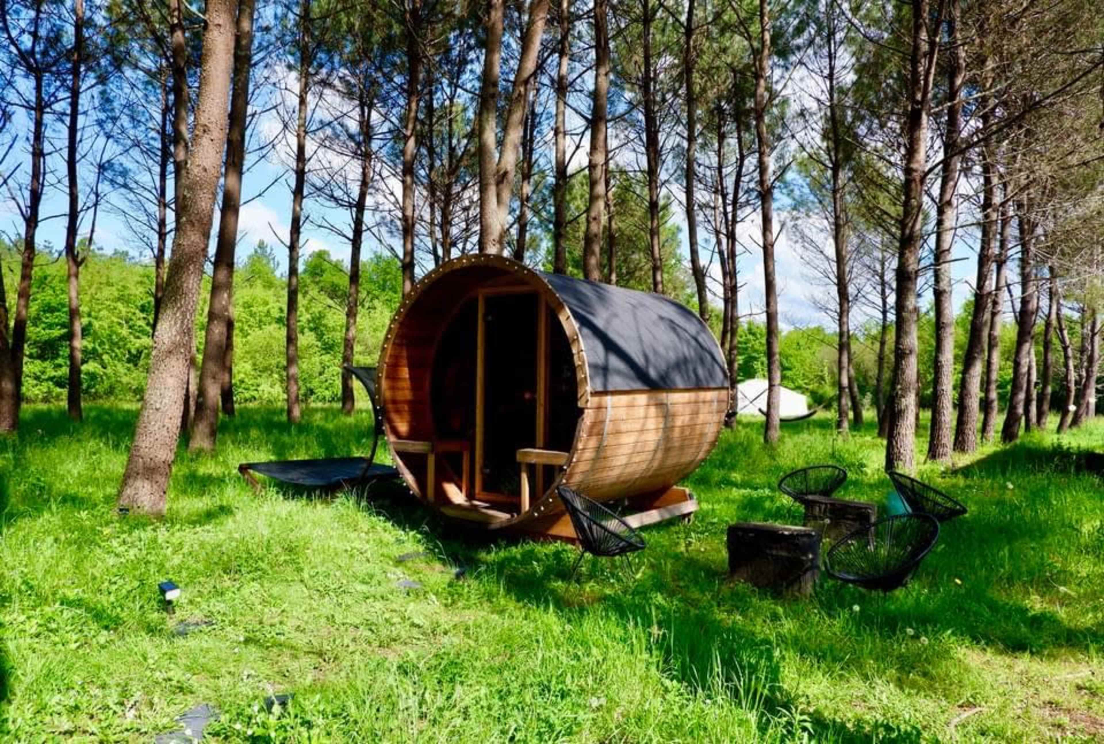 A wooden barrel-shaped cabin is situated in a grassy area surrounded by tall pine trees.