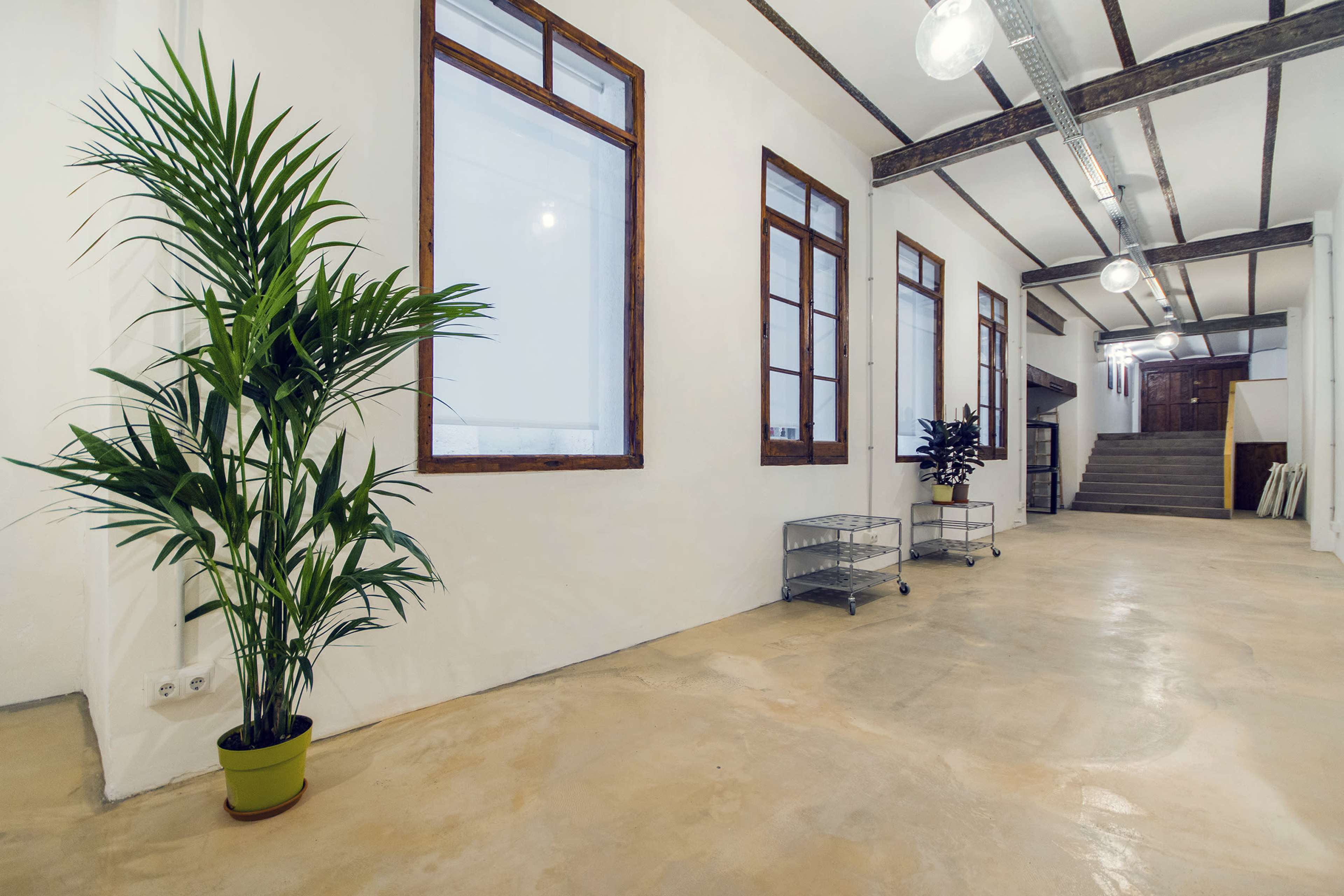 The image shows a spacious, well-lit hallway featuring large windows, potted plants on either side, and a staircase at the end.