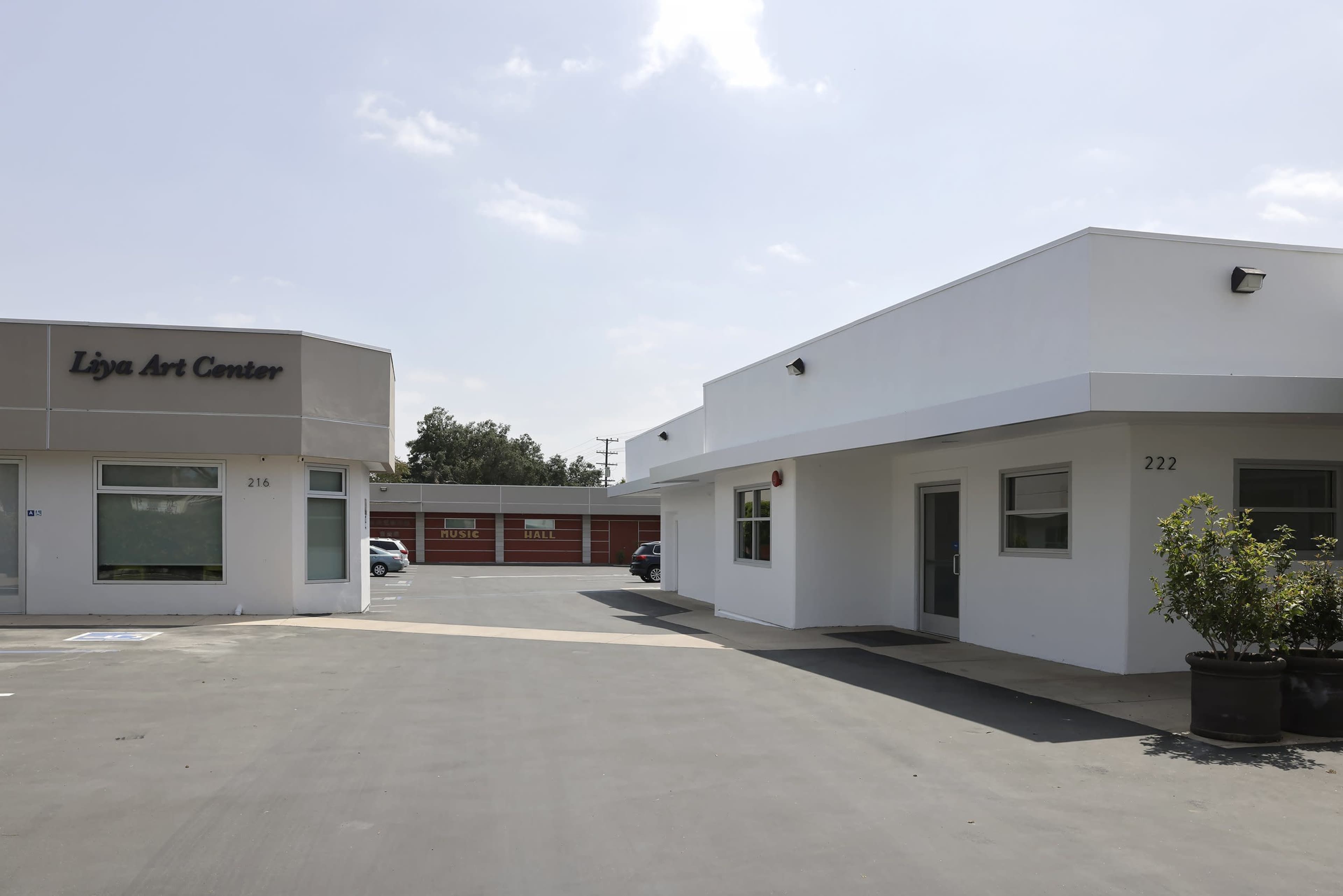 A view of the Liva Art Center along with adjacent buildings, set against a partly cloudy sky and a paved parking area.