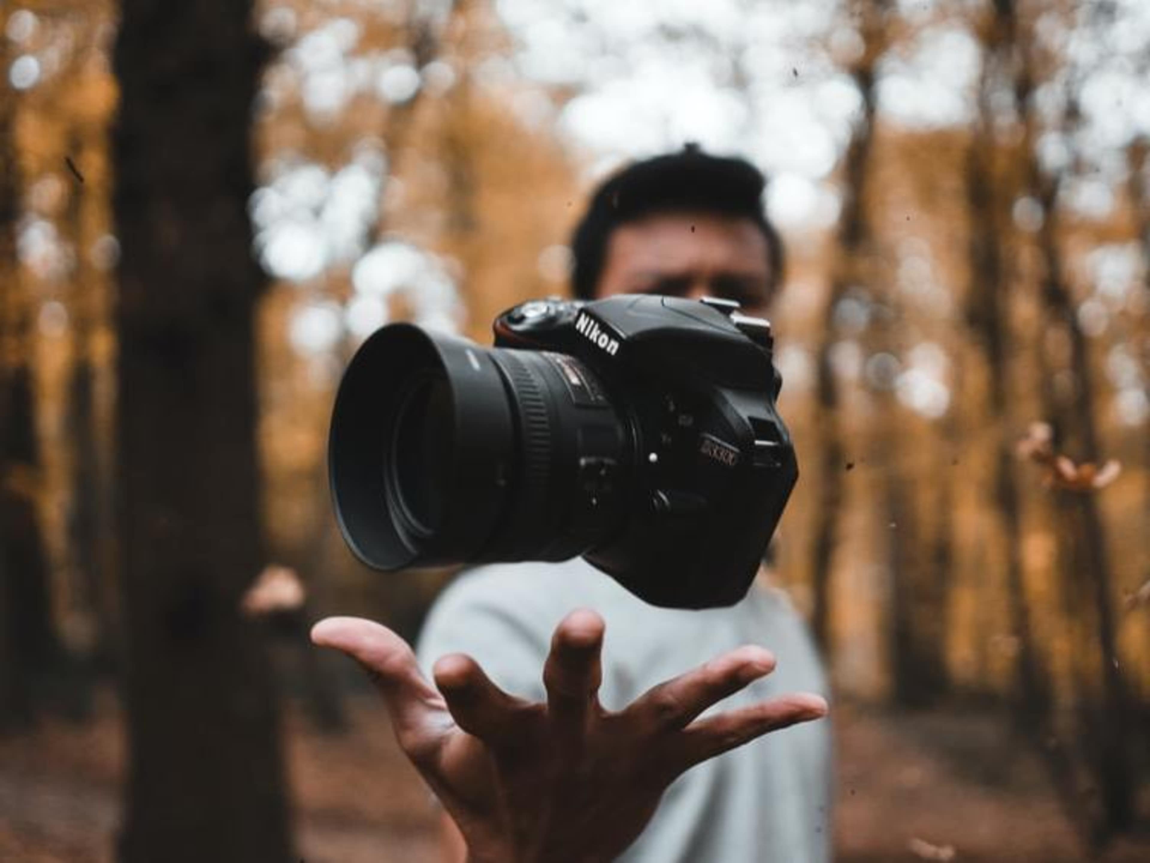Professional Photographer