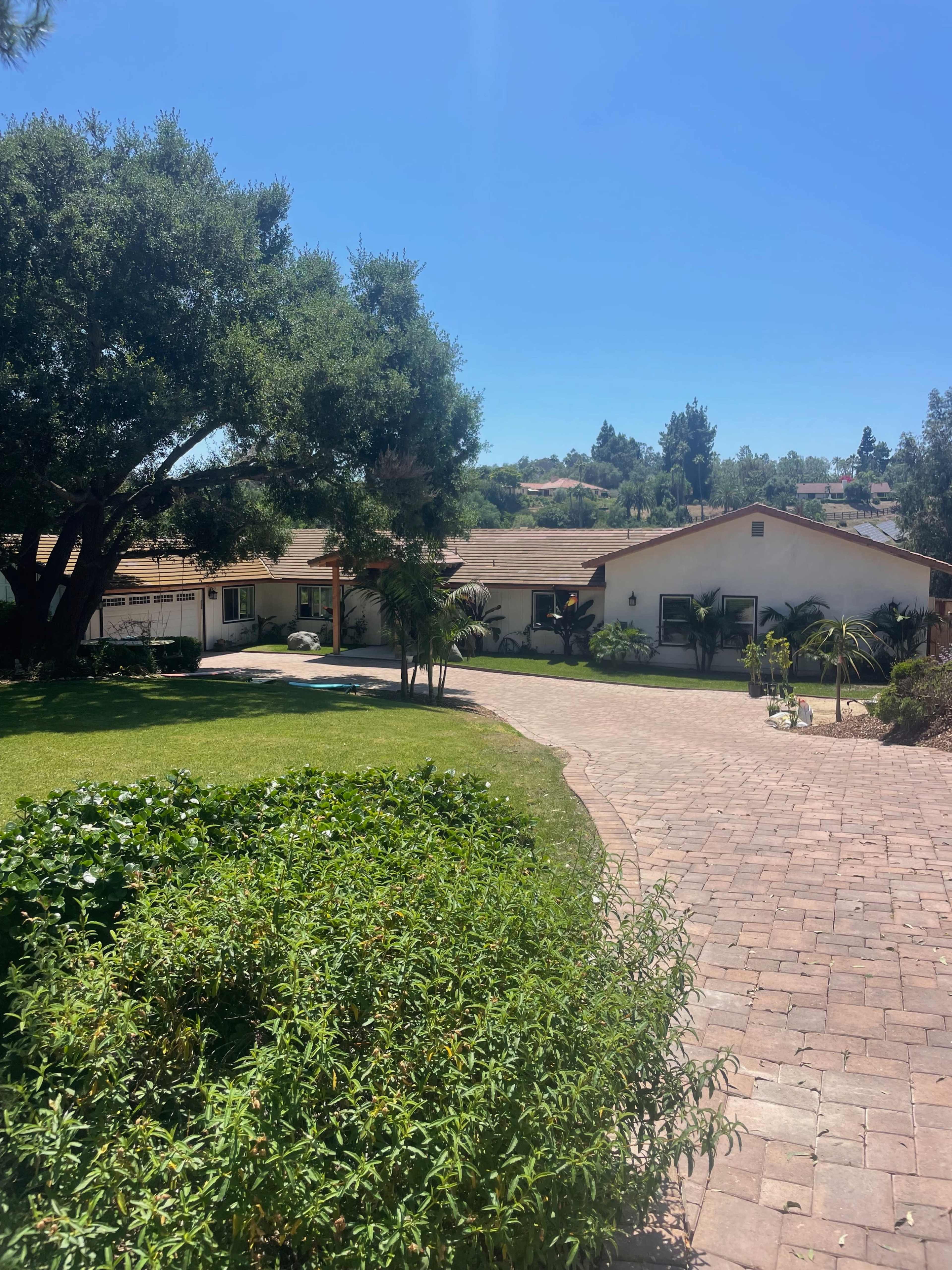 A residential property with a landscaped yard, a paved driveway, and a house surrounded by trees.