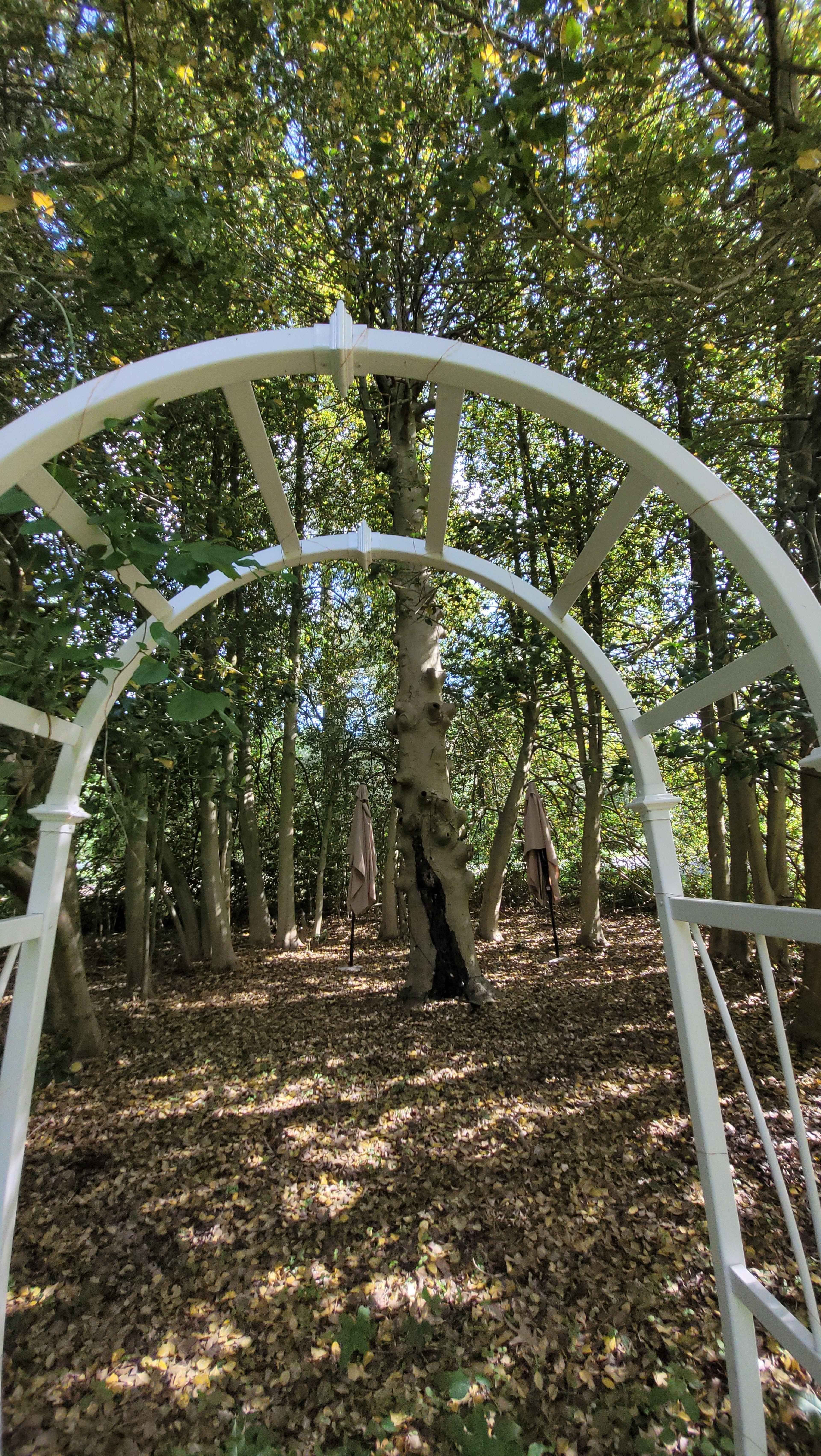 A white archway frames a woodland scene with trees and fallen leaves visible on the ground.