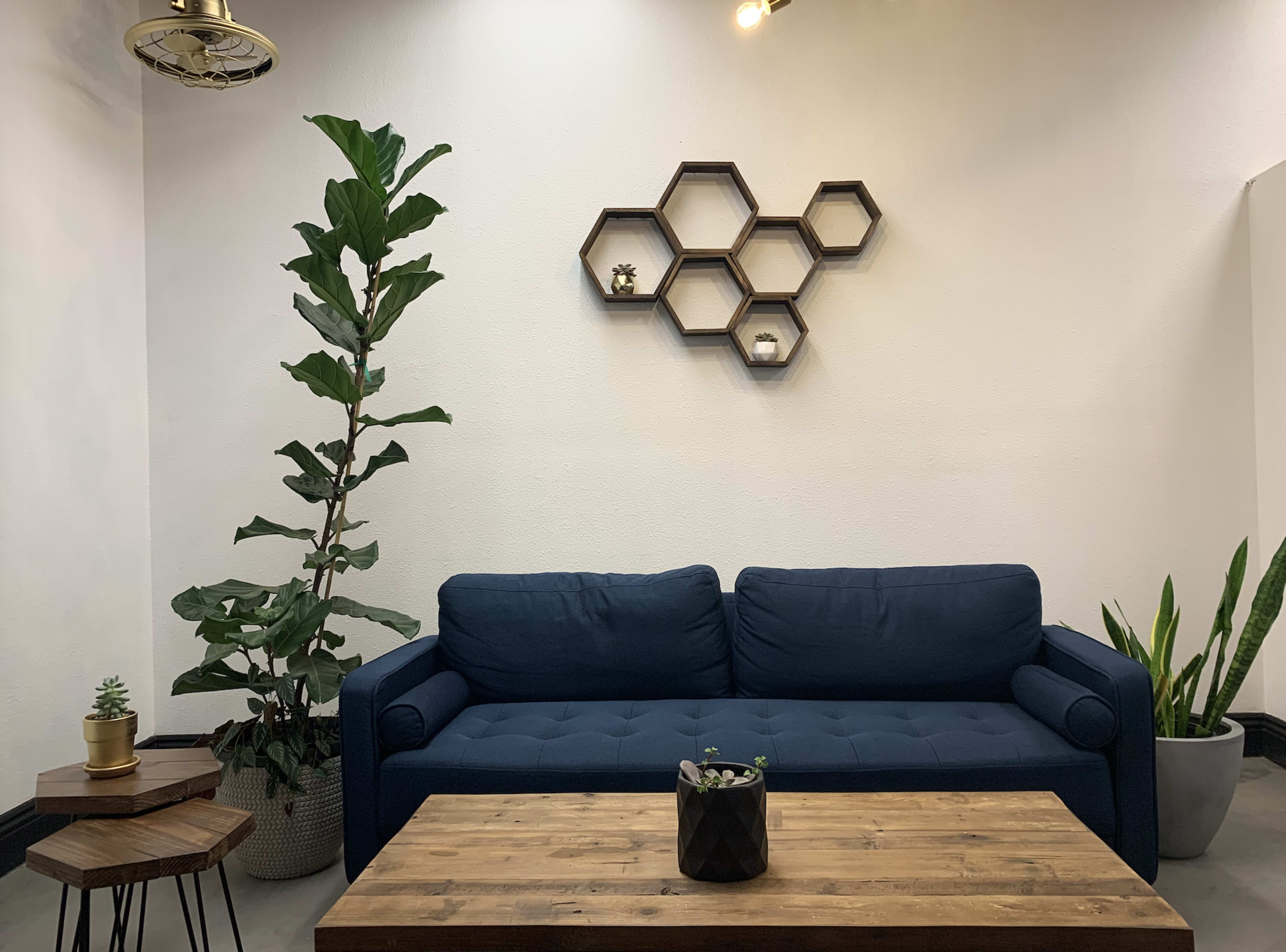 A cozy living space featuring a blue couch, a wooden coffee table, and hexagonal shelves mounted on the wall, with plants placed around the area.