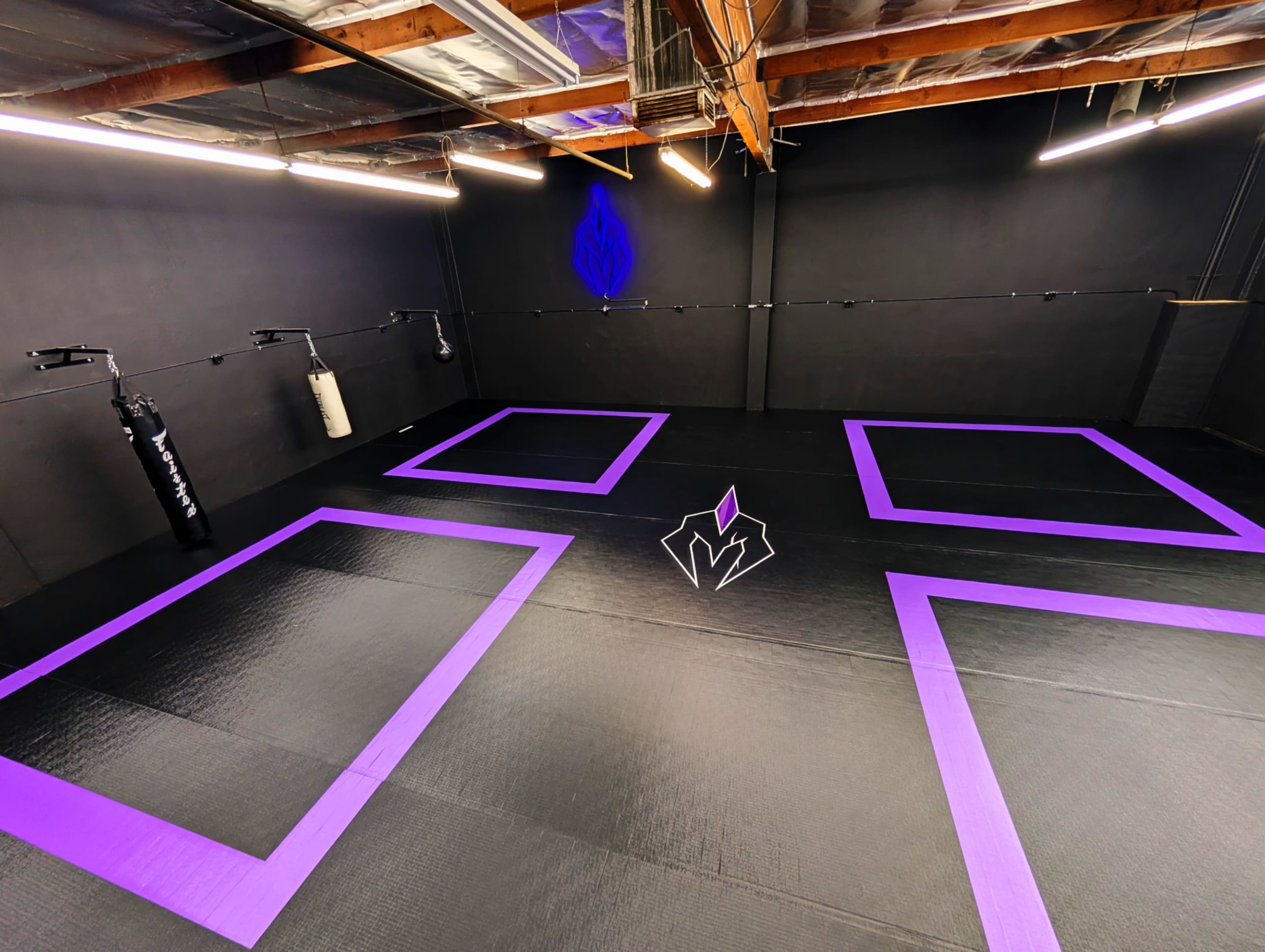 The image shows a training facility with a large, black mat featuring purple borders and a central logo, illuminated by overhead lights.