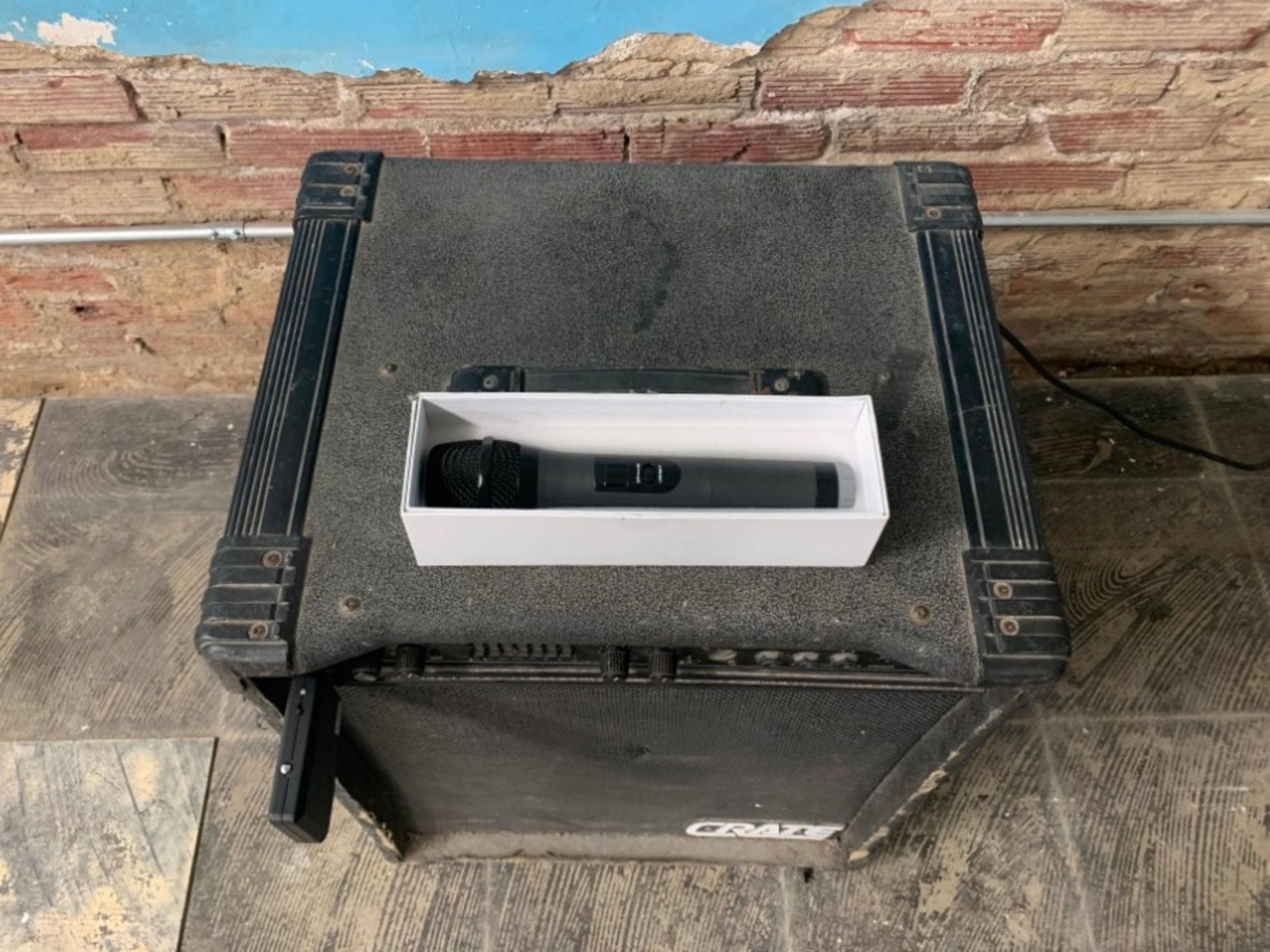 Wireless microphone and bass amplifier