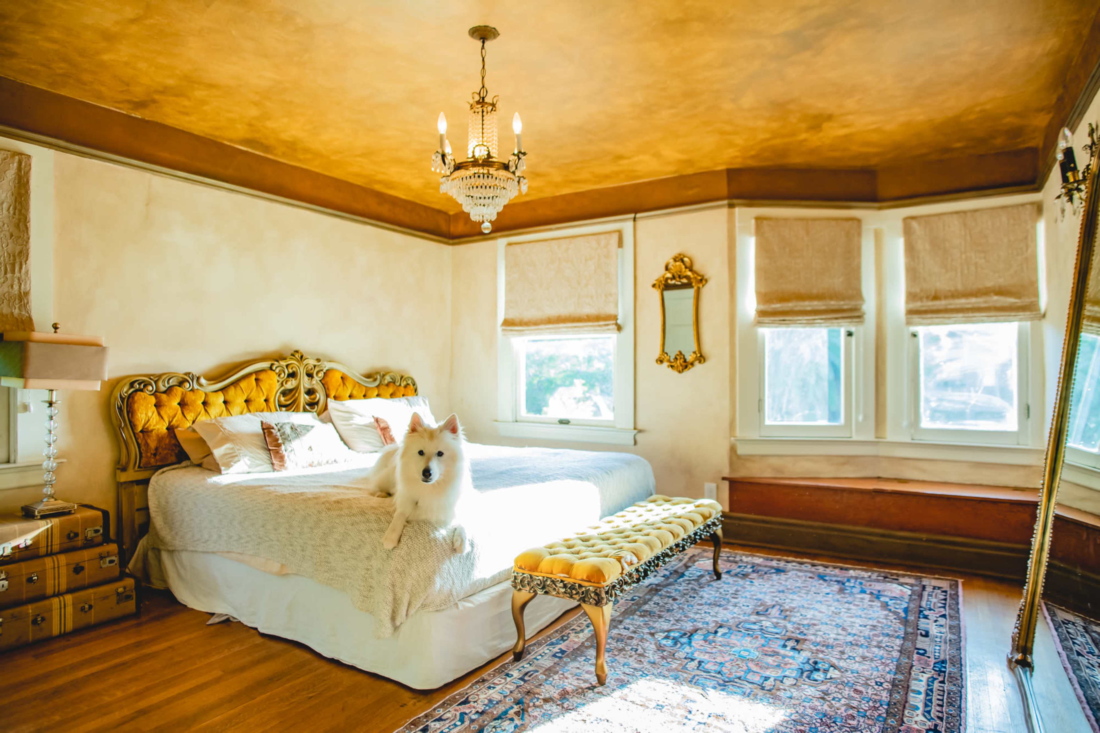 A neatly arranged bedroom features a large bed with a tufted yellow headboard, a decorative bench, and a white dog sitting on the bed, alongside large windows letting in natural light.