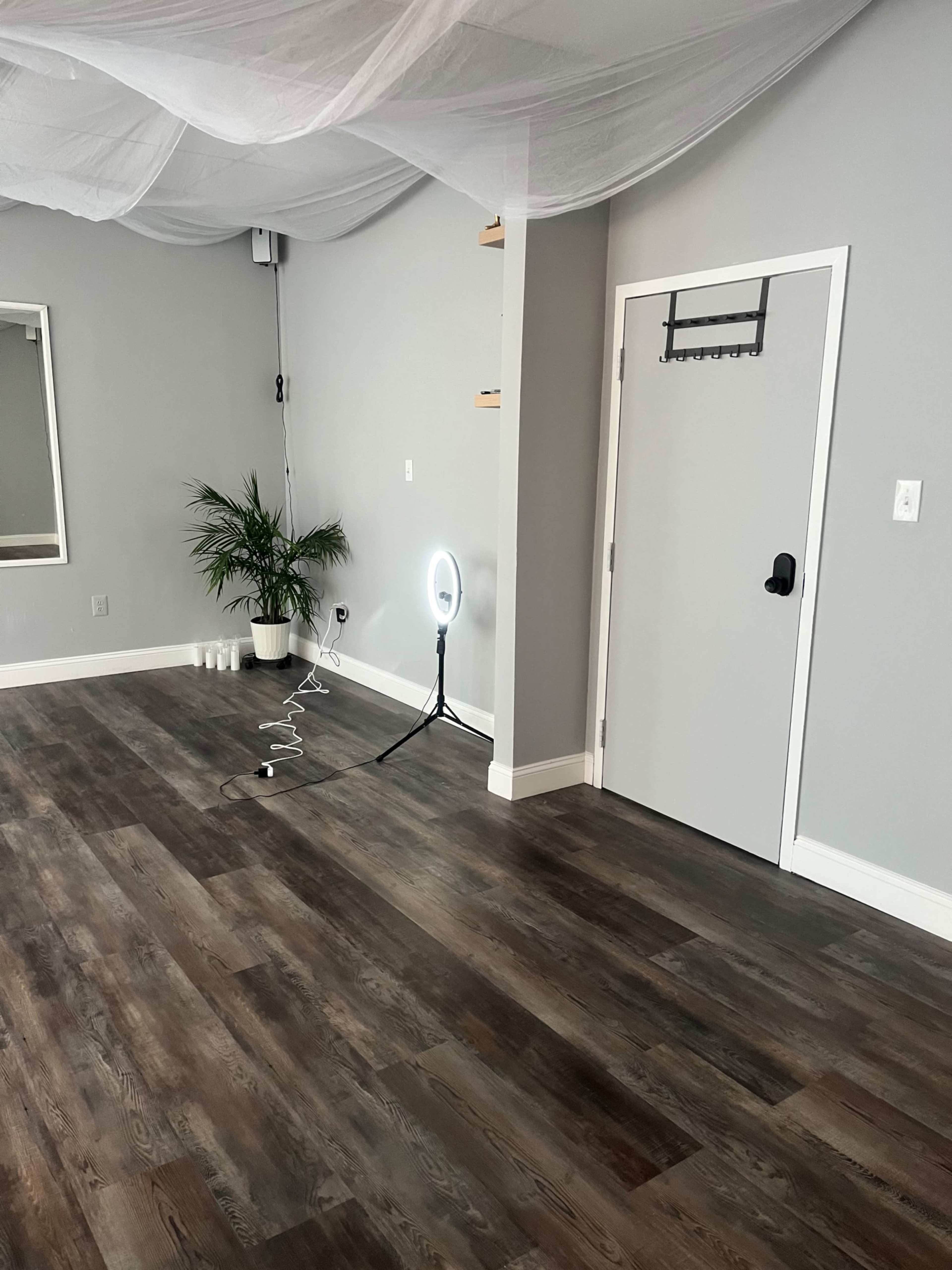 The image shows a spacious room with gray walls, wooden flooring, a small plant in one corner, a door with a coat rack, and a ring light on a stand.