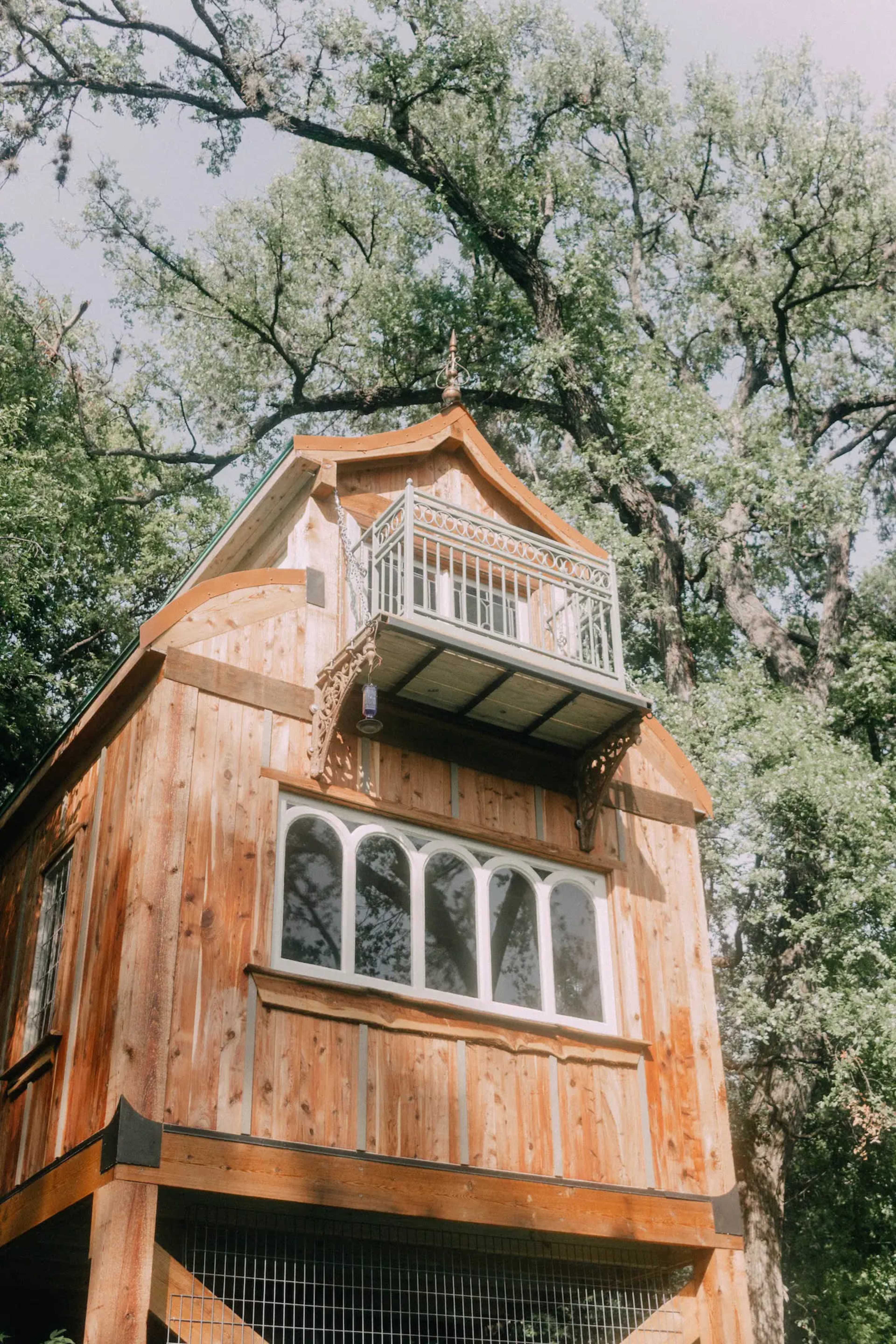 A wooden structure with a balcony faces a large tree canopy above.