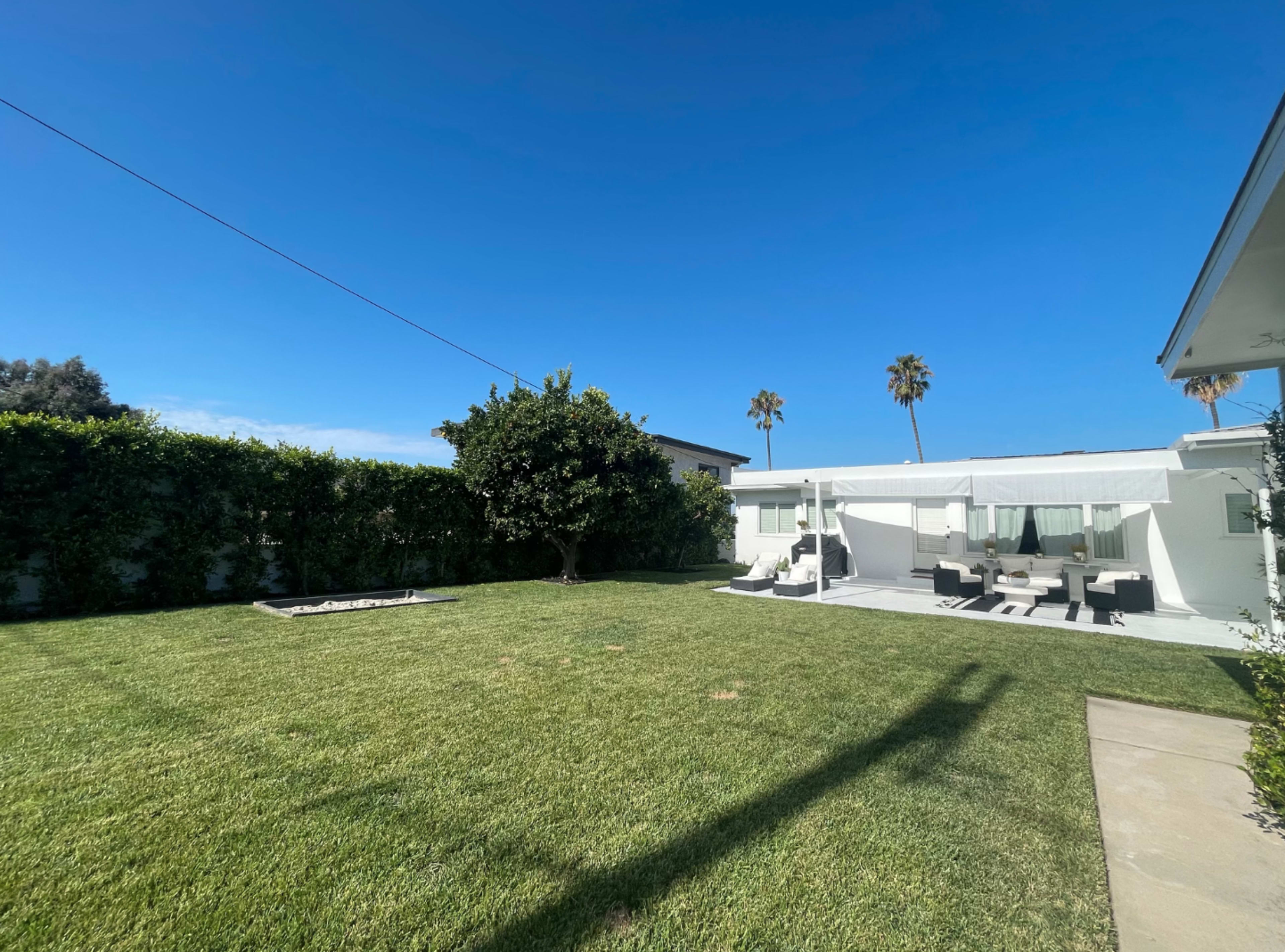 A spacious backyard with neatly trimmed grass, a light-colored patio area featuring lounge chairs, and palm trees in the background under a clear blue sky.