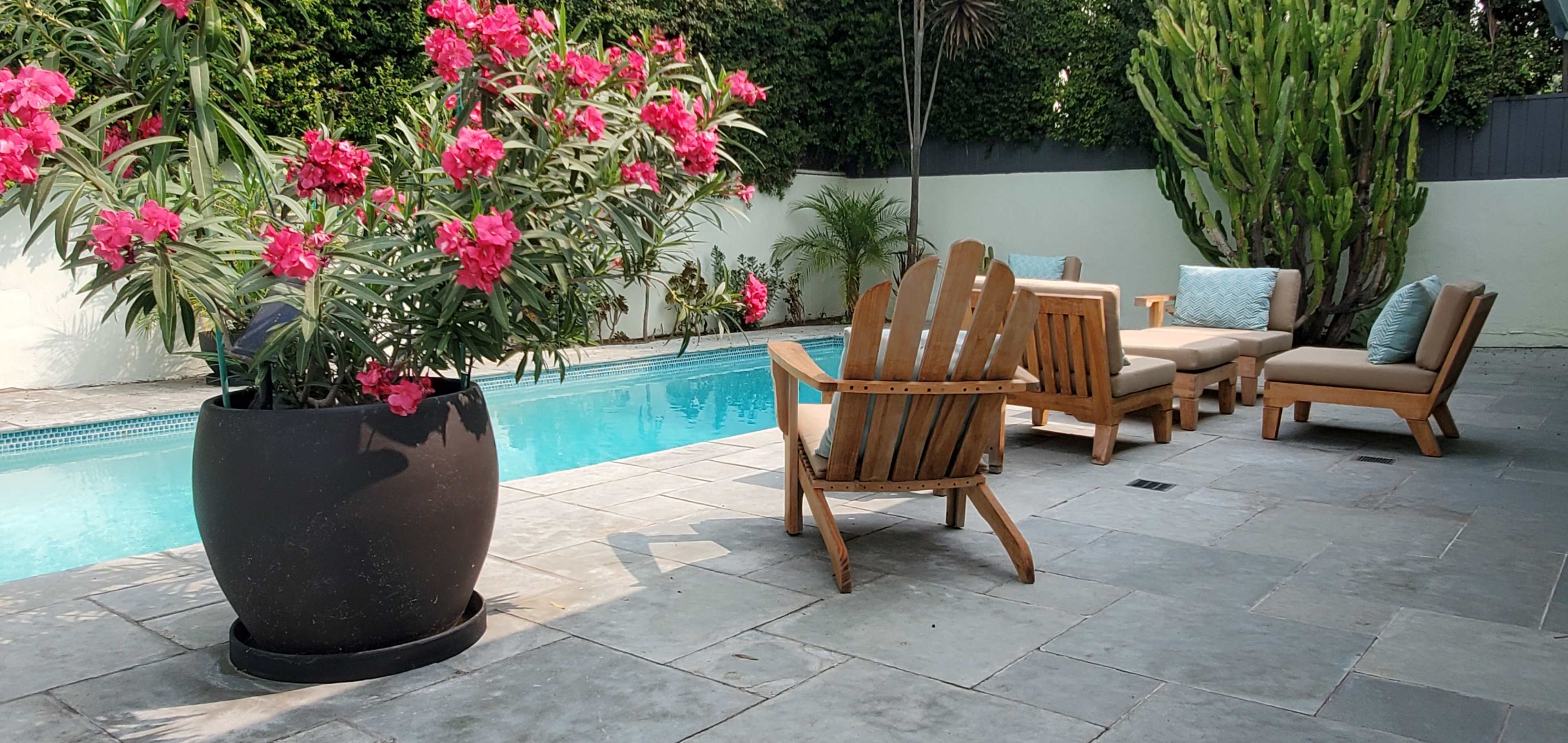 The scene features a swimming pool surrounded by potted pink flowers and wooden lounge chairs on a stone patio.