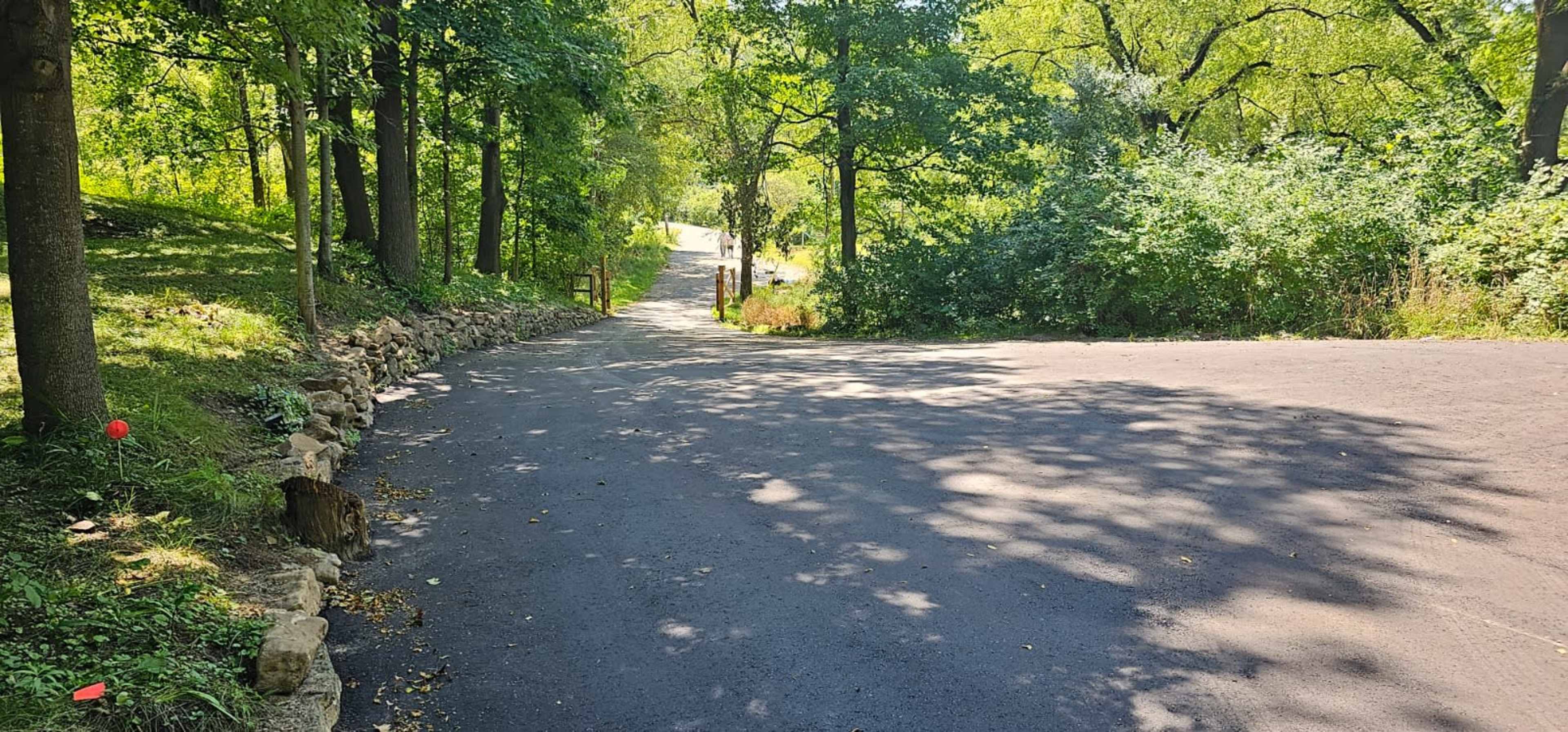 A fork in the road is shown in a wooded area, with one path leading uphill and the other curving away into the trees.