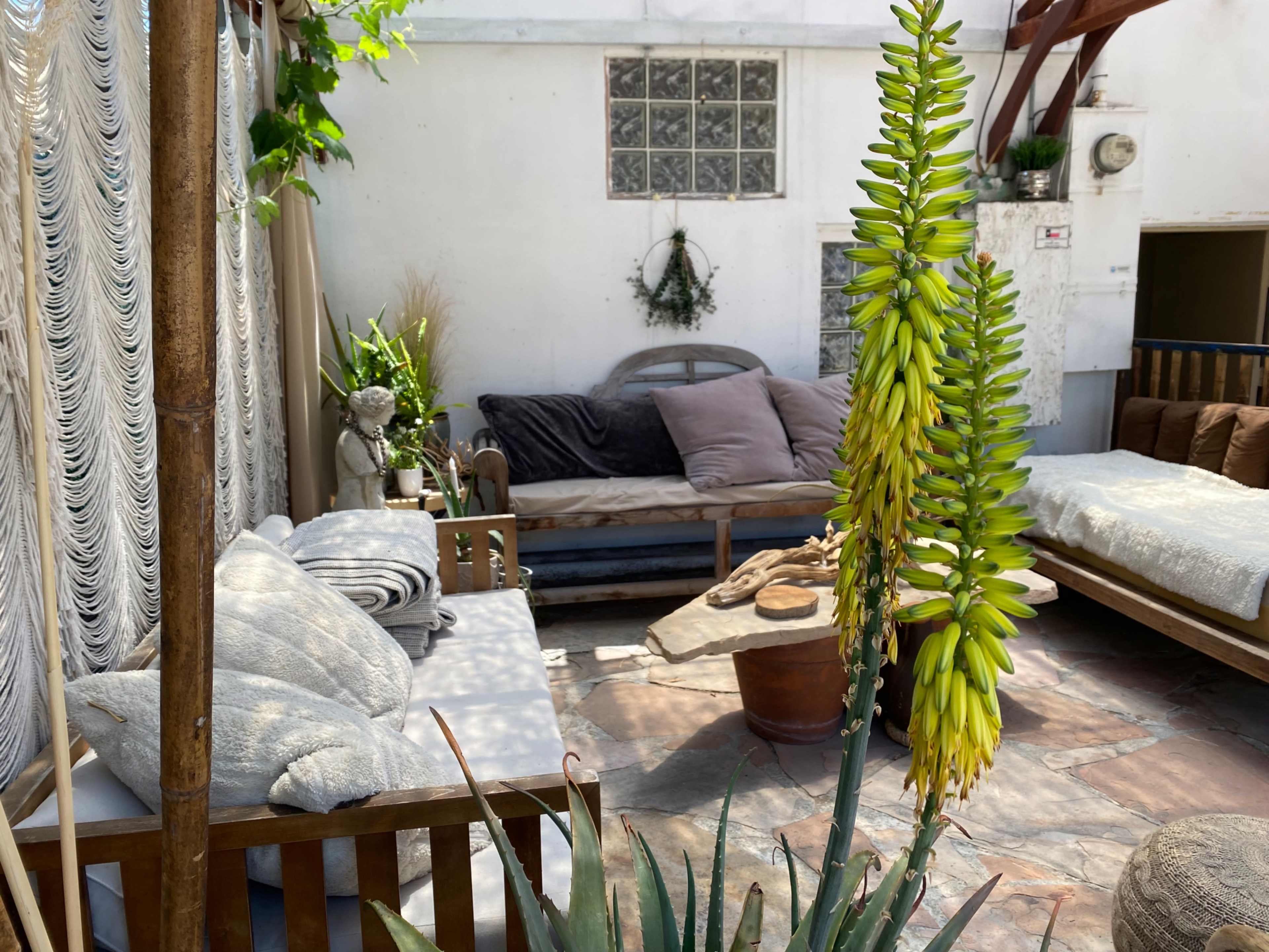A cozy outdoor relaxation area featuring a stone floor, various plants, a wooden bench, and a gray couch against a white wall.