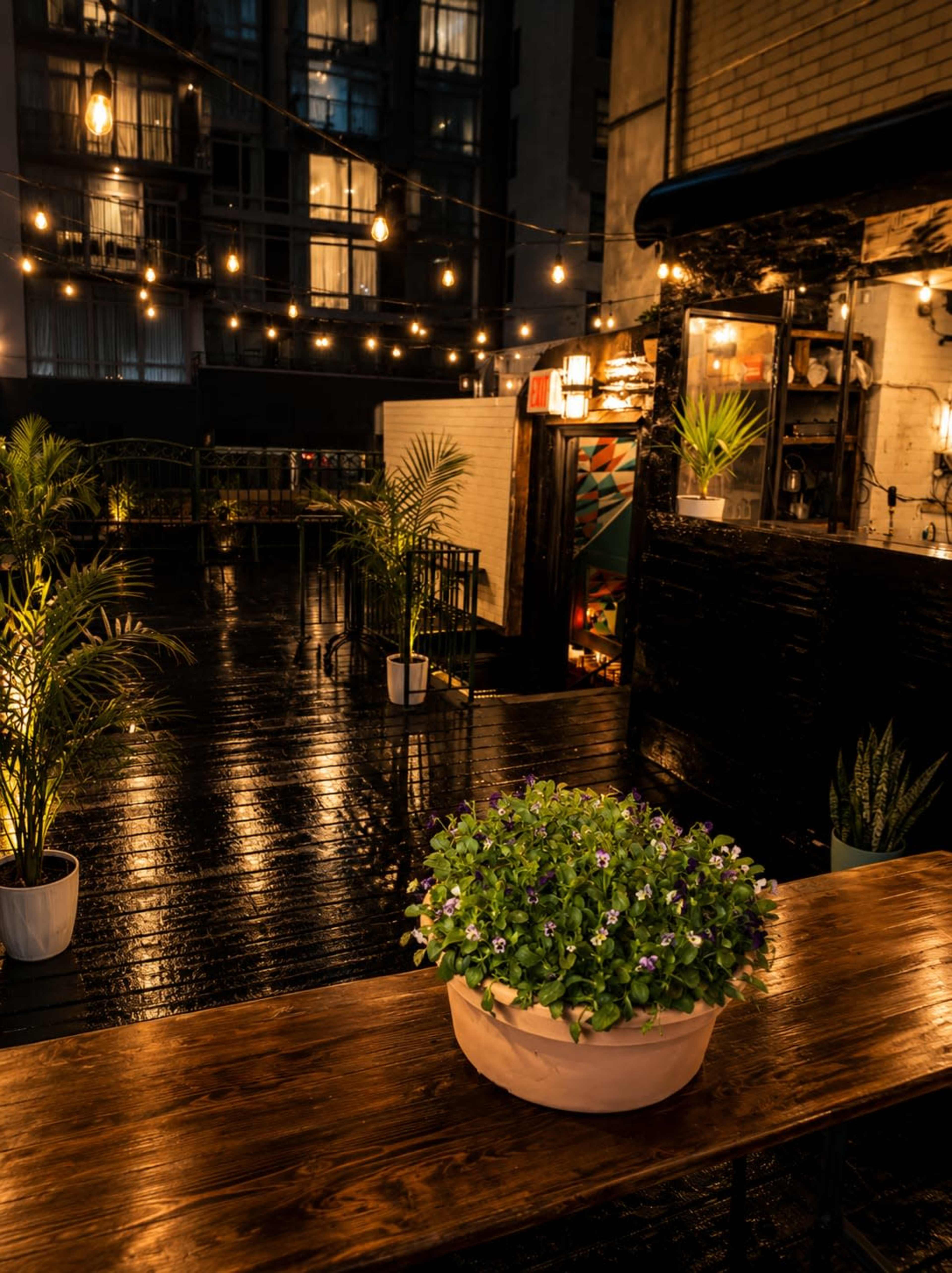A wooden table with a potted plant is set in a dimly lit outdoor area adorned with string lights and surrounded by buildings.