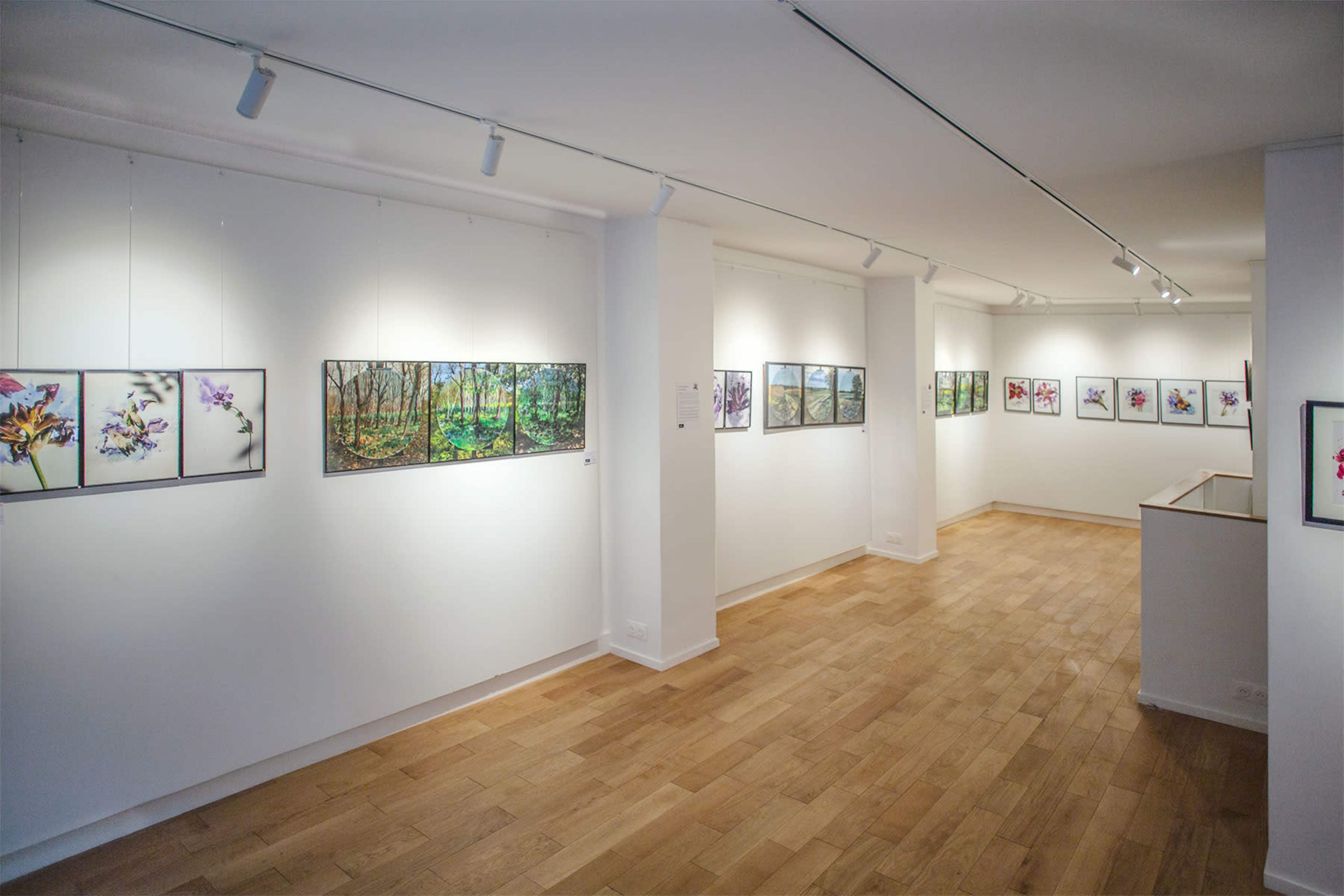 A spacious gallery features multiple framed artworks depicting nature along its white walls and wooden floor.
