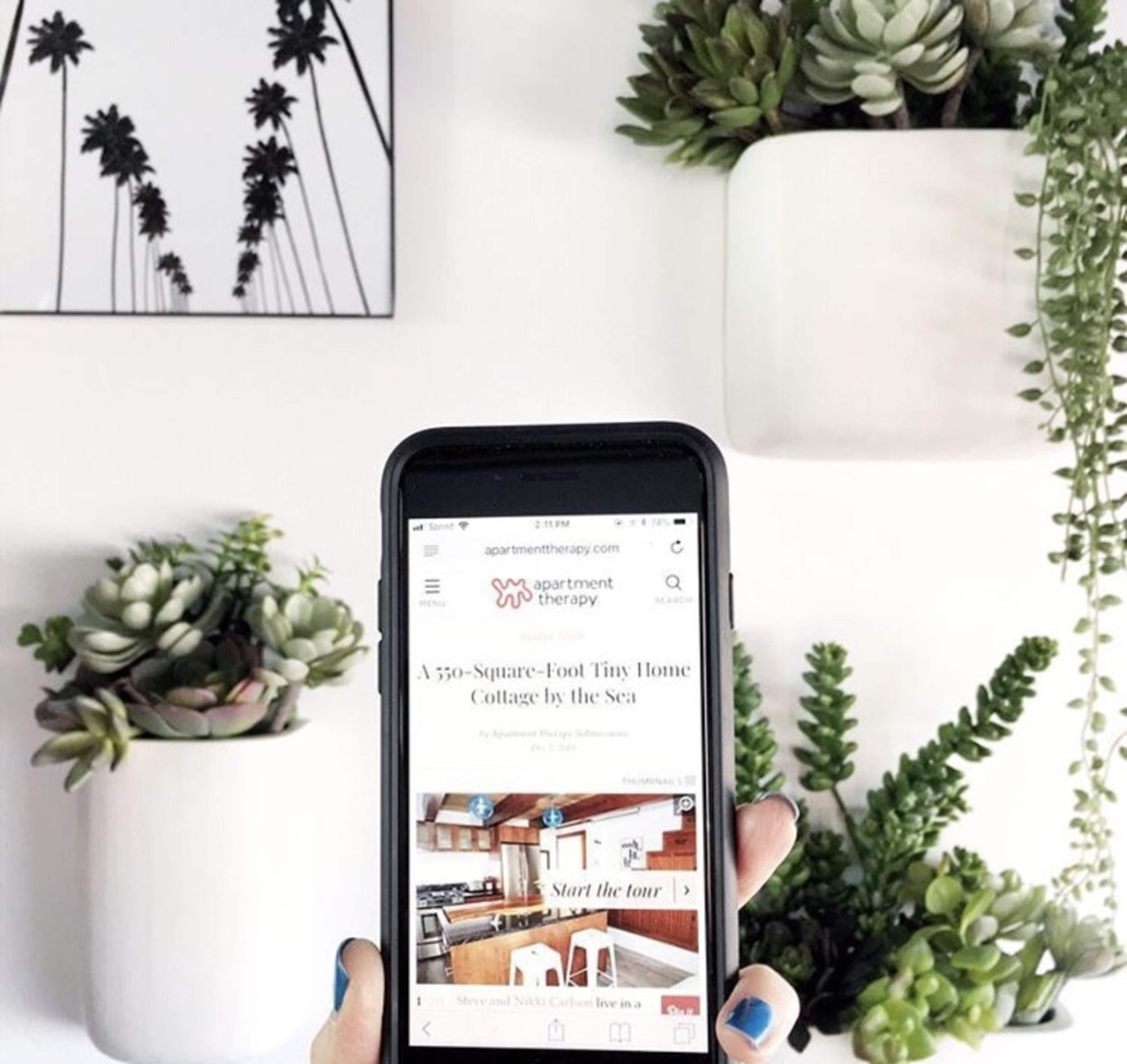 A person holds a smartphone displaying a website about a tiny home cottage, set against a backdrop of succulent plants and a framed palm tree print.