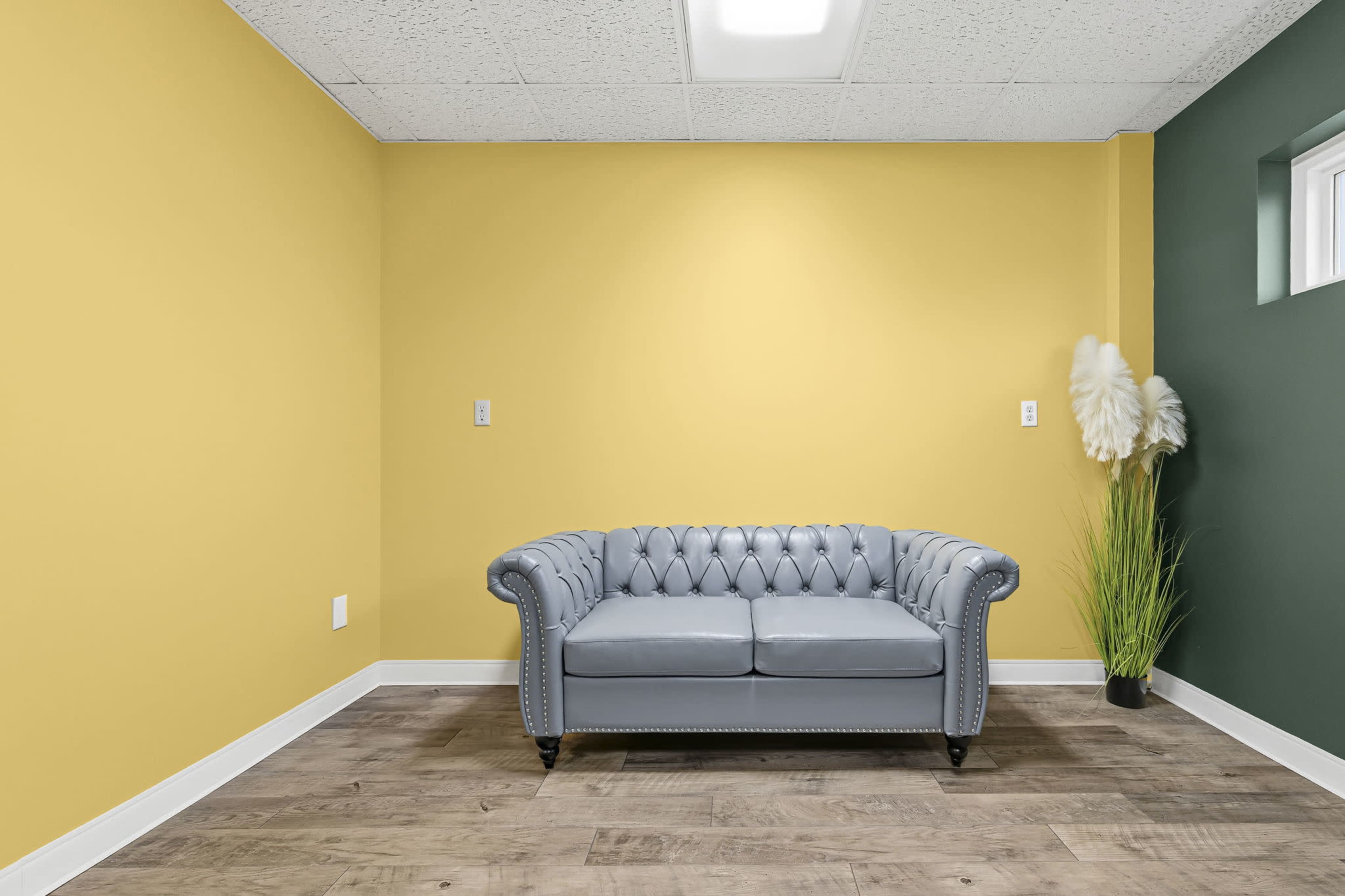 The image features a gray tufted sofa centered between two brightly colored walls, one yellow and one dark green, with a small green plant in the corner.