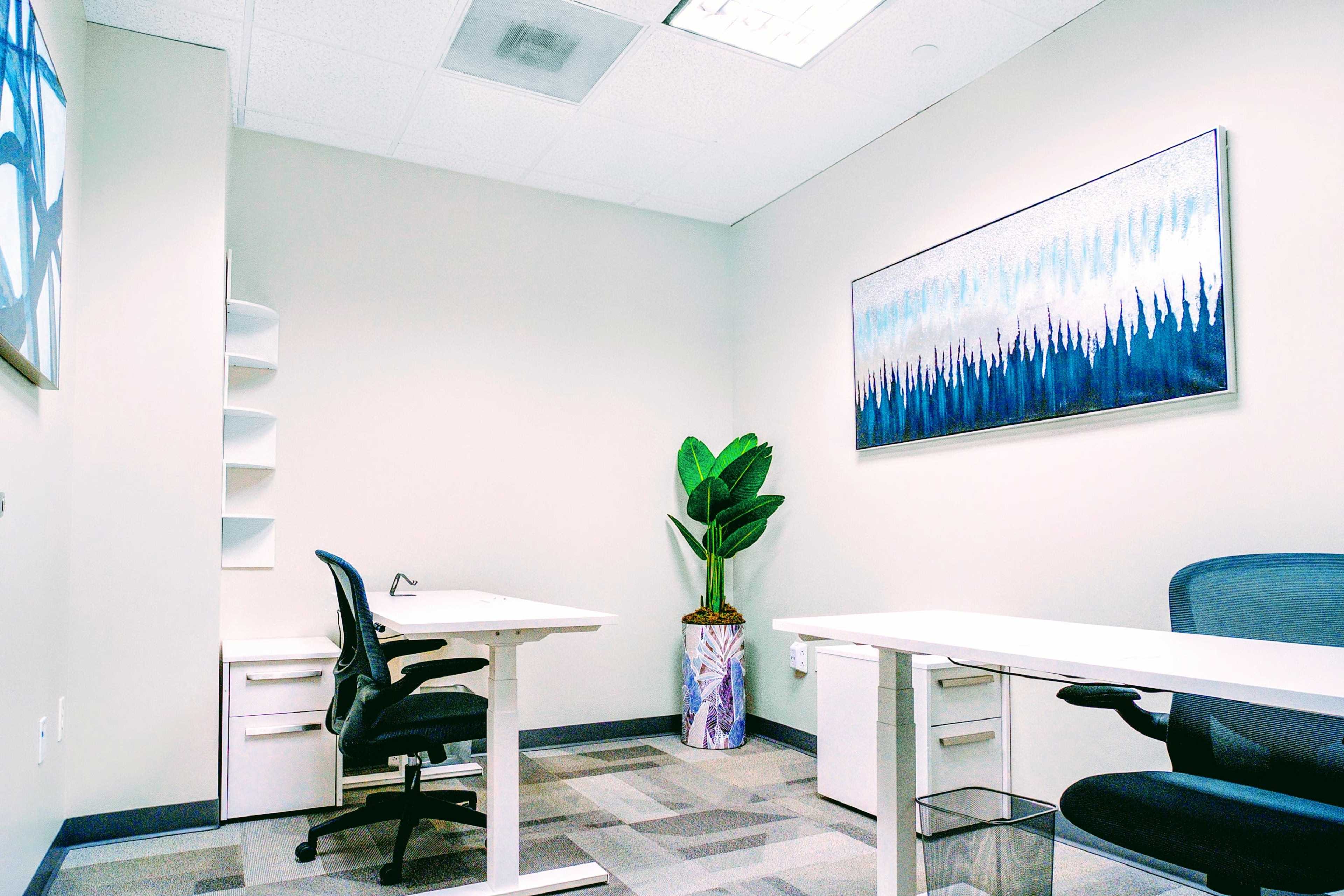 A clean, modern office space features two desks, a plant in a decorative pot, and artwork on the wall.