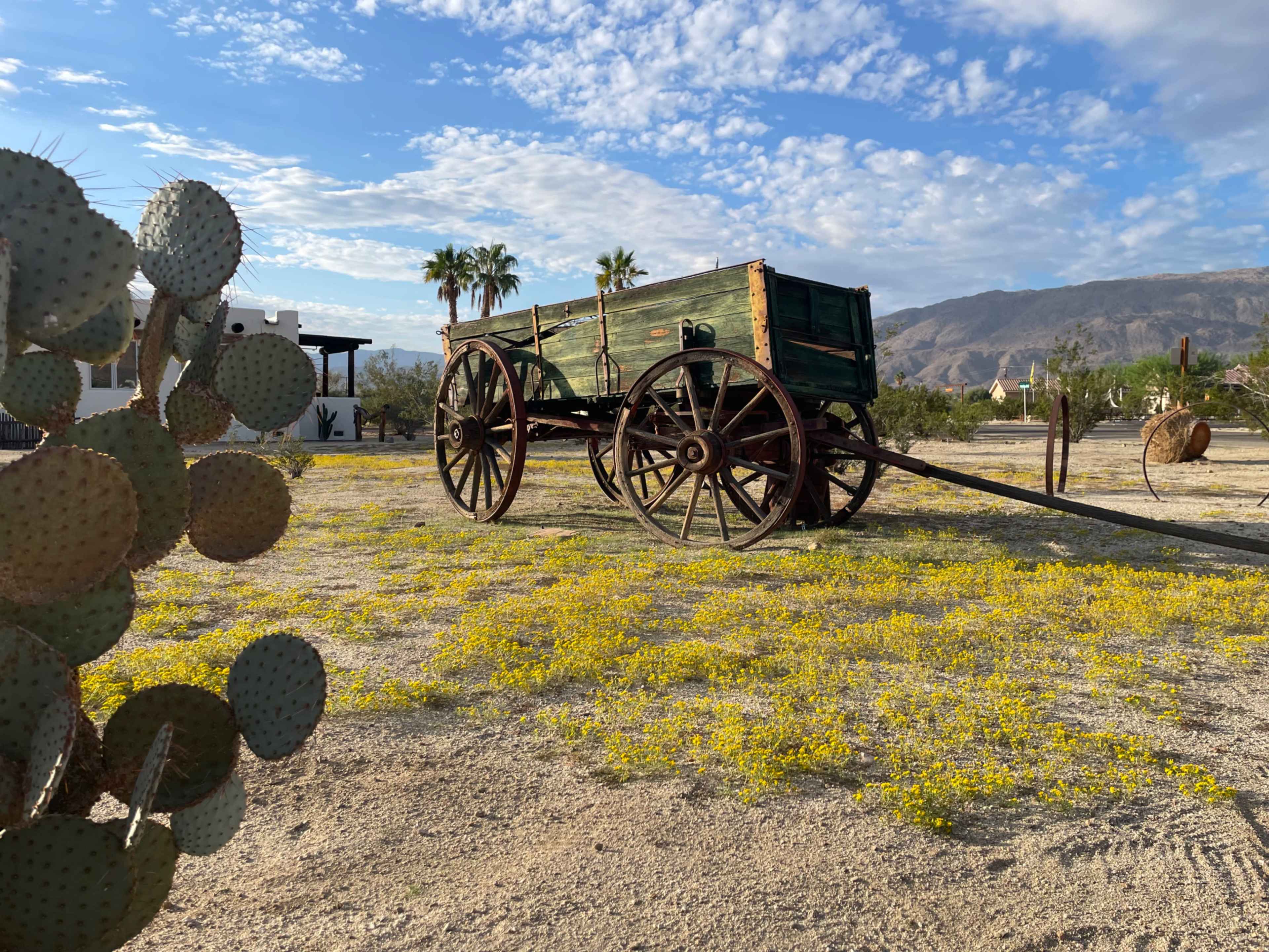 A rustic wooden cart with large wheels sits on a desert landscape dotted with yellow wildflowers and surrounded by cacti.