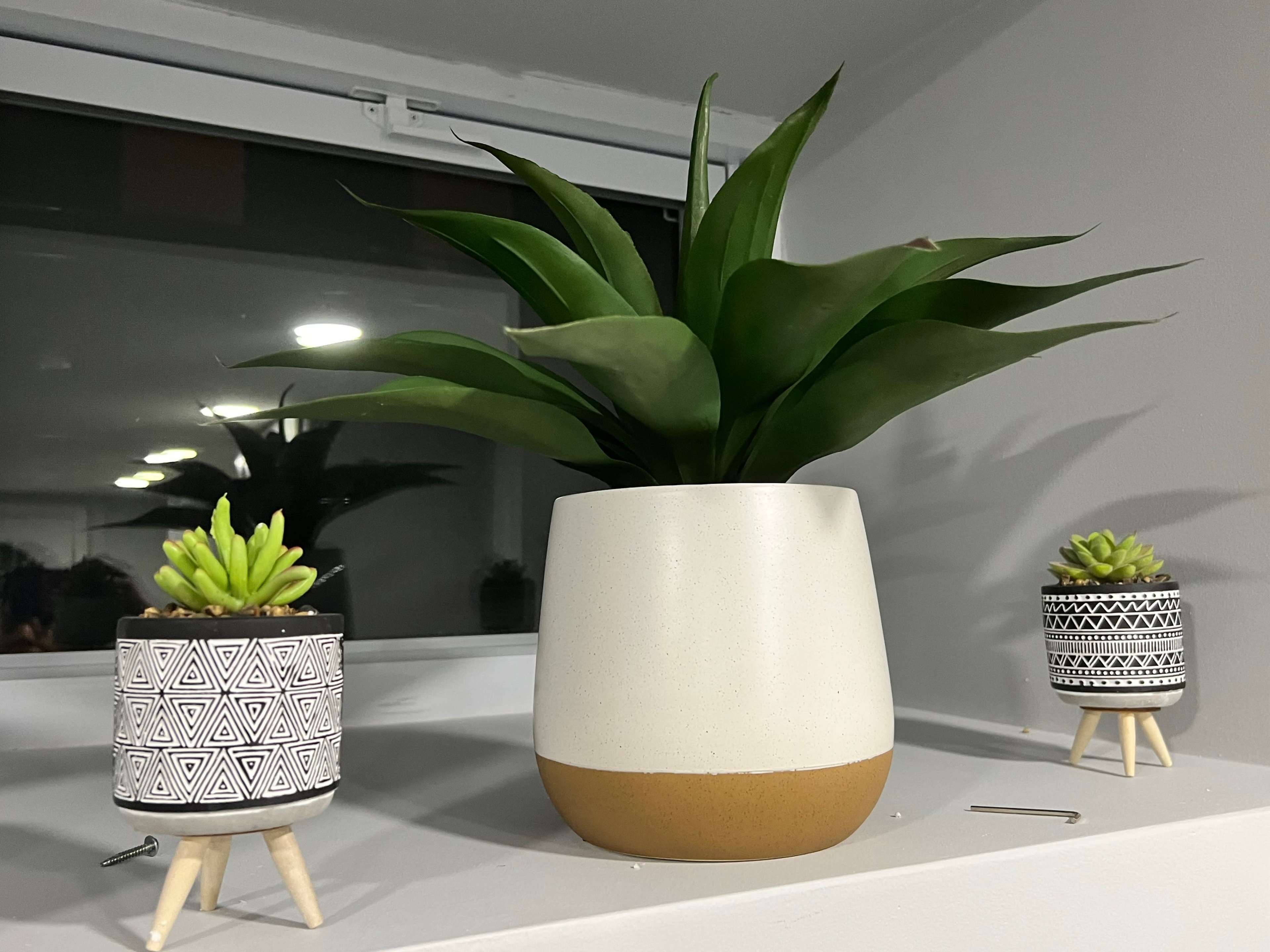 Three potted plants on a shelf, with two smaller decorative pots on either side of a larger pot.