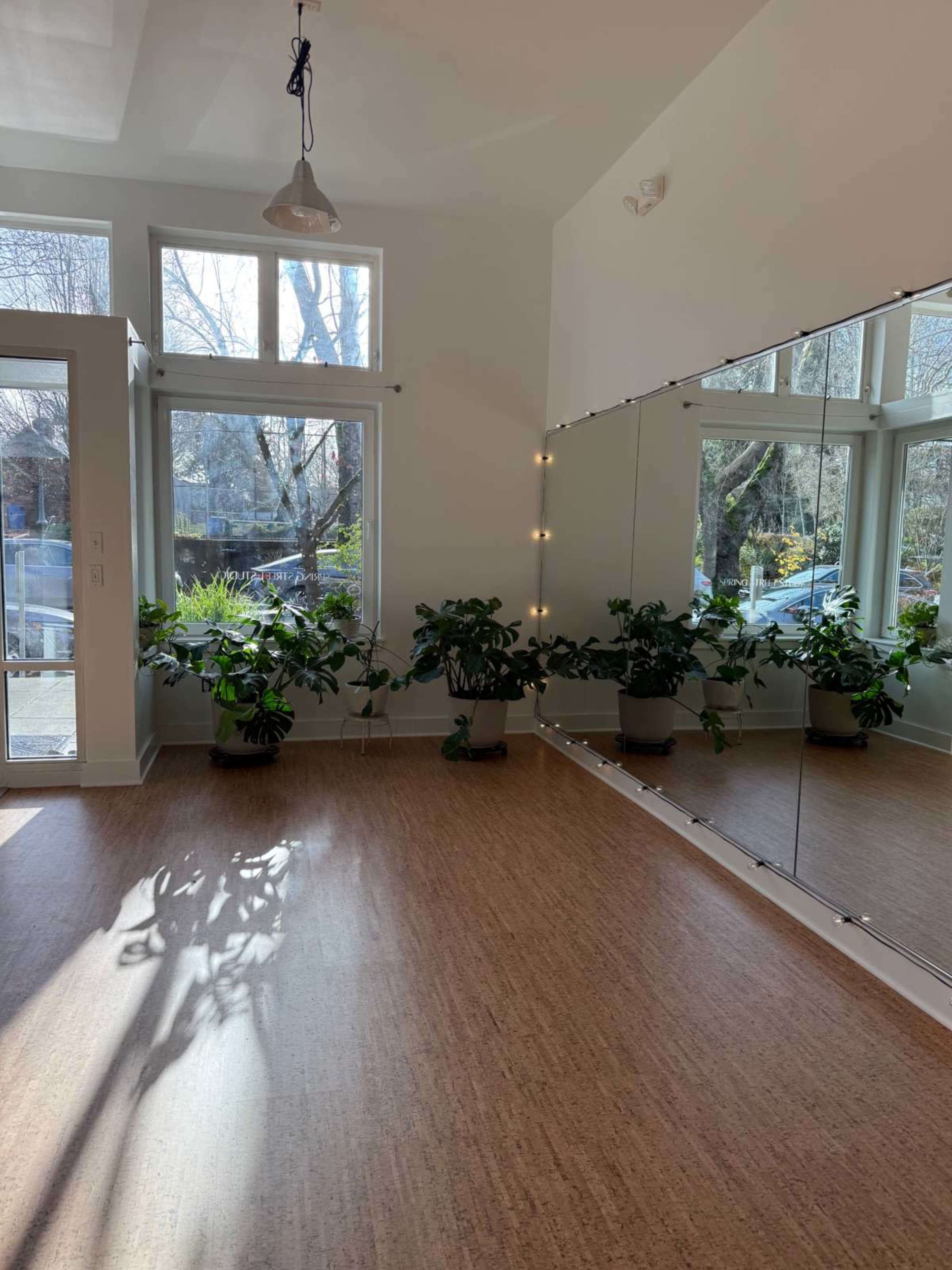 The image shows a bright, spacious room with large windows, a mirror on one wall, and potted plants near the windows.