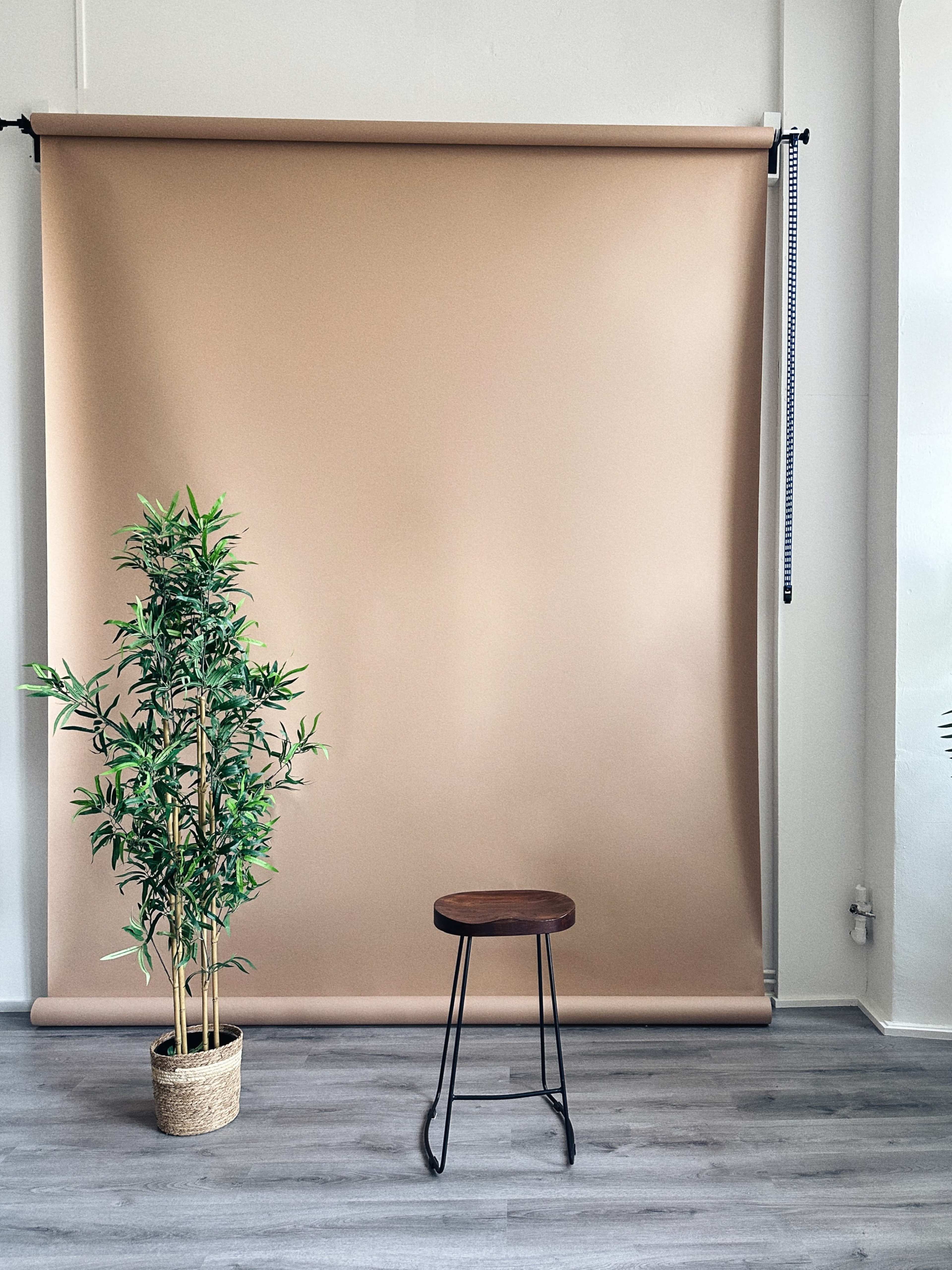 The image features a plain brown backdrop with a small potted plant on the left and a wooden stool in front of it.