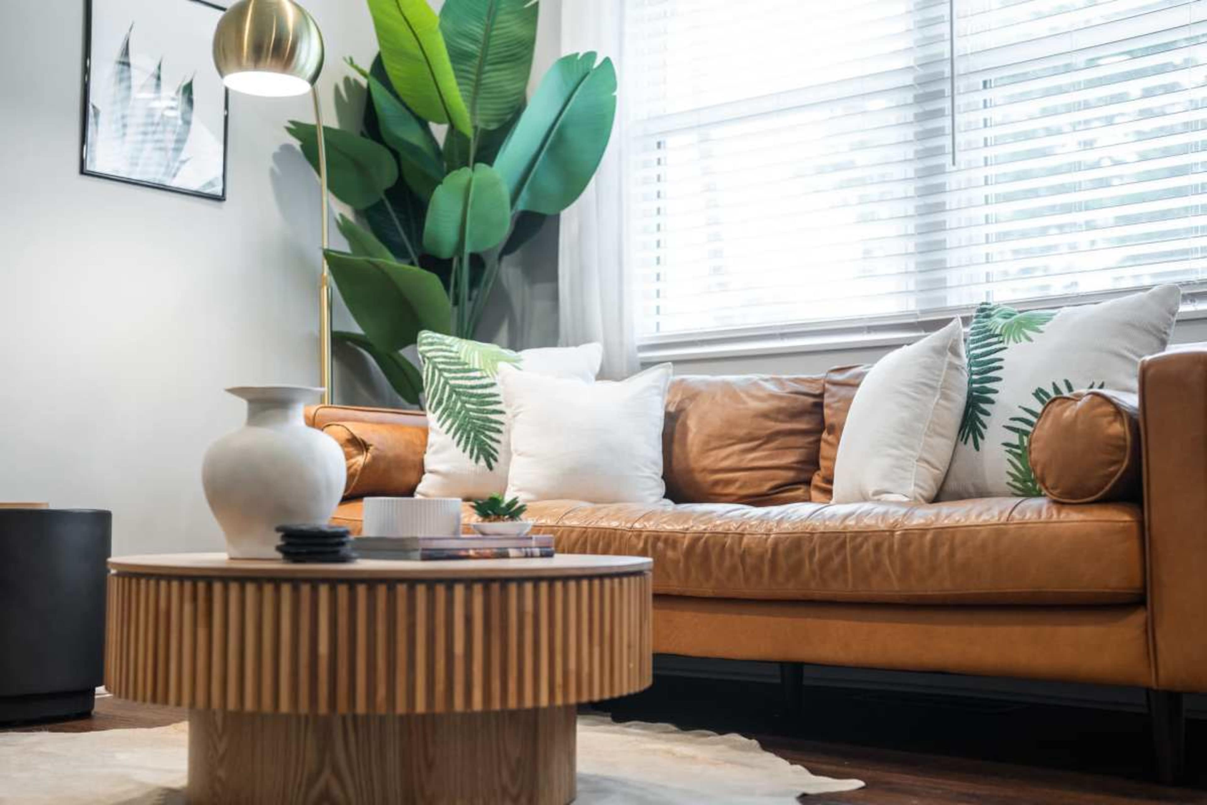 Cozy, Warm Boho Retreat With A Modern Feel Image in Charlotte Park, Nashville, TN