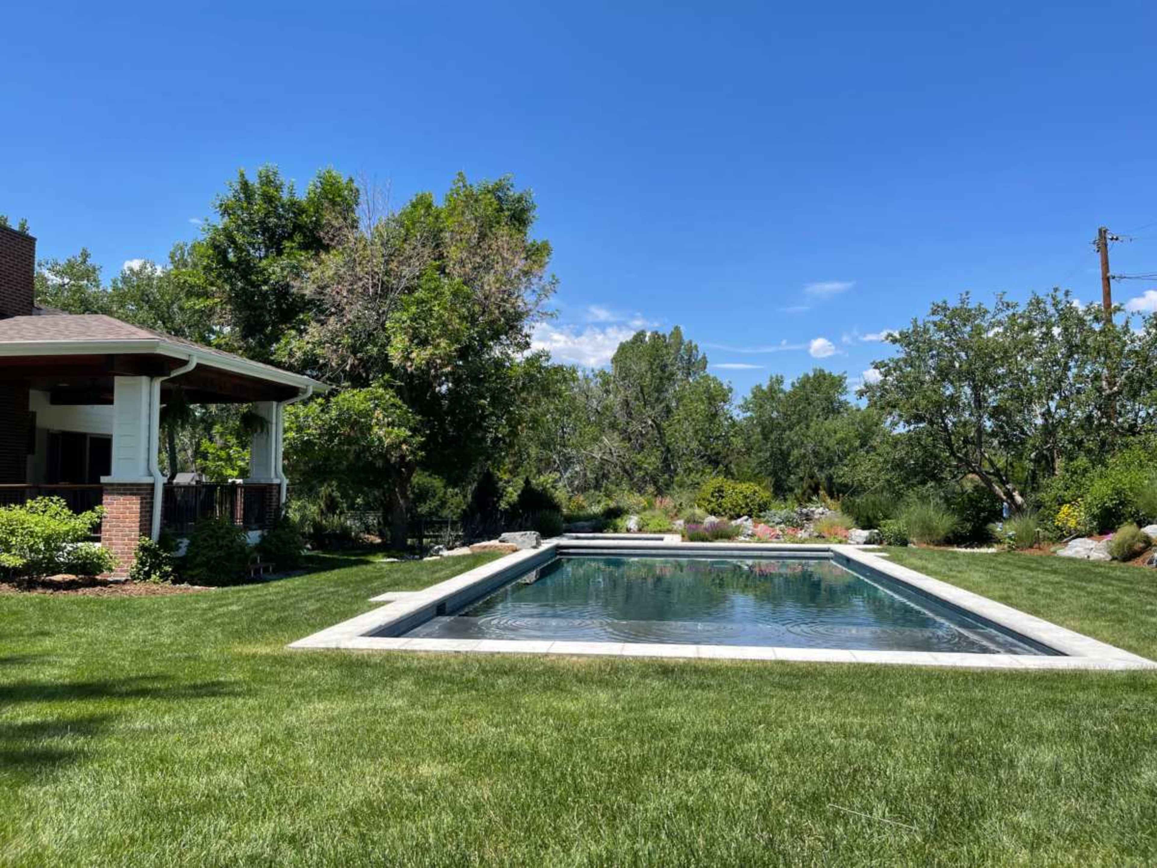 The image shows a rectangular swimming pool surrounded by neatly trimmed grass and landscaped gardens under a clear blue sky.