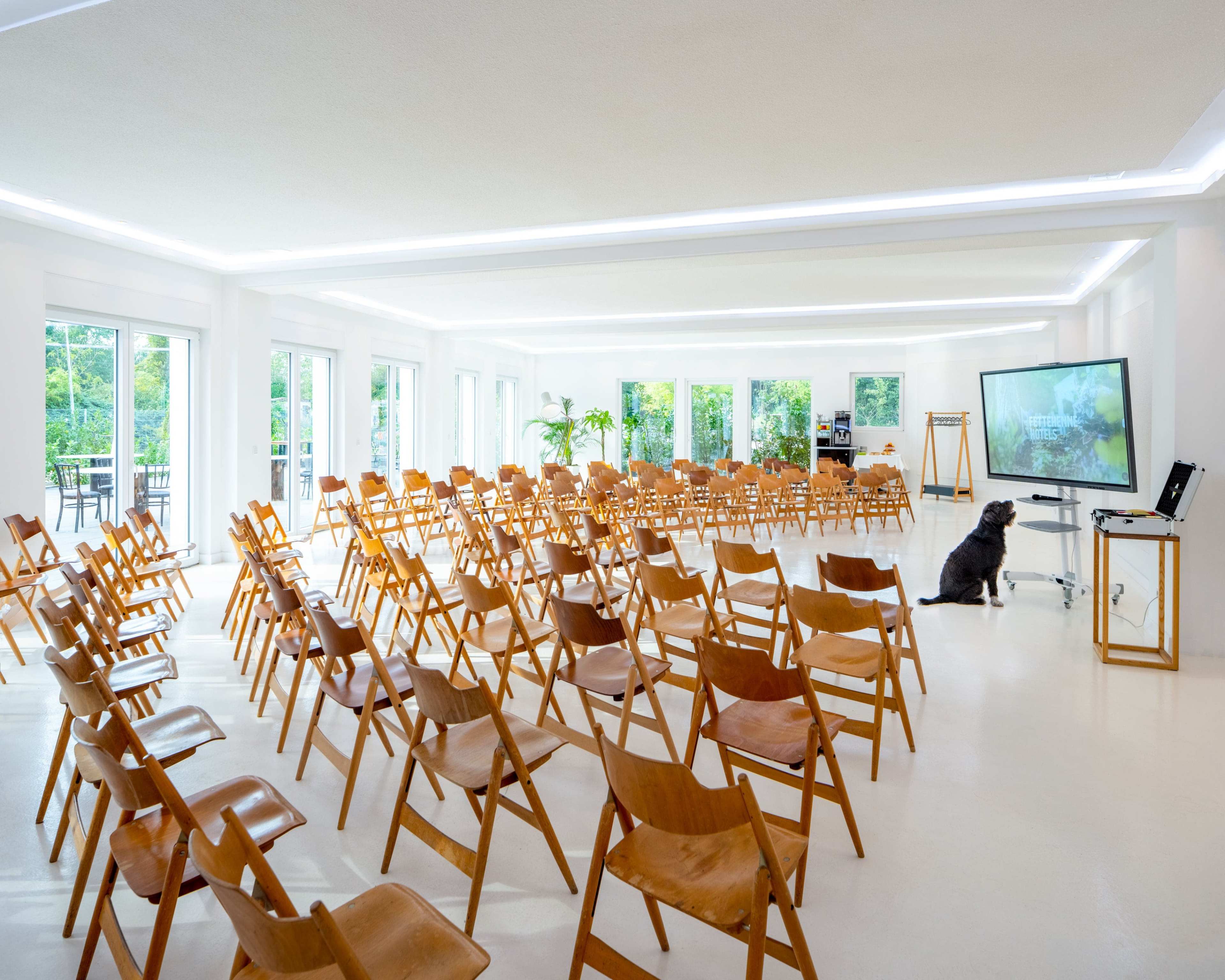 A spacious indoor room set up with rows of wooden chairs facing a screen, with large windows providing a view of greenery outside and a dog sitting near the screen.