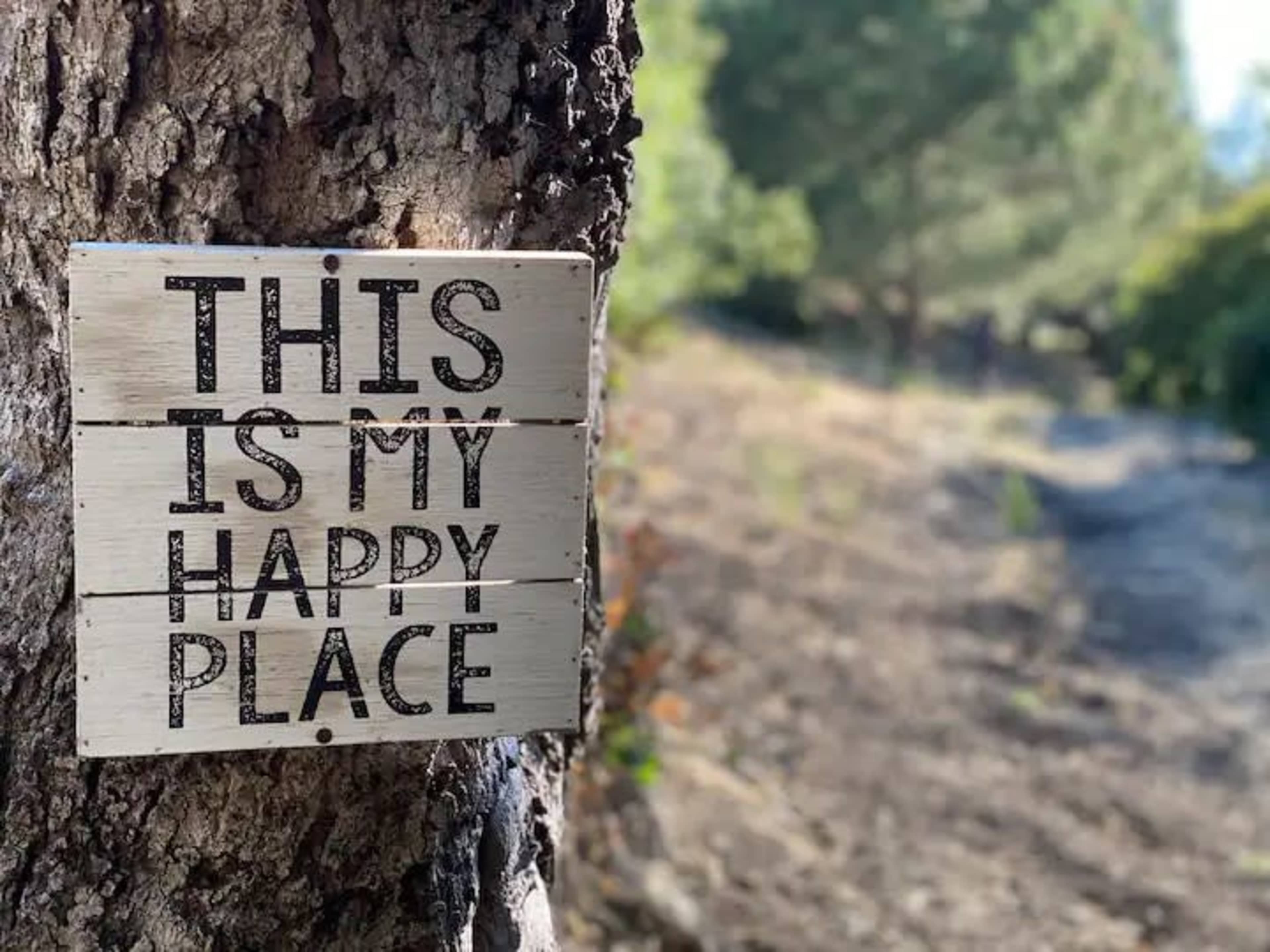 A wooden sign saying "THIS IS MY HAPPY PLACE" is affixed to a tree, with a natural background of greenery and a pathway.