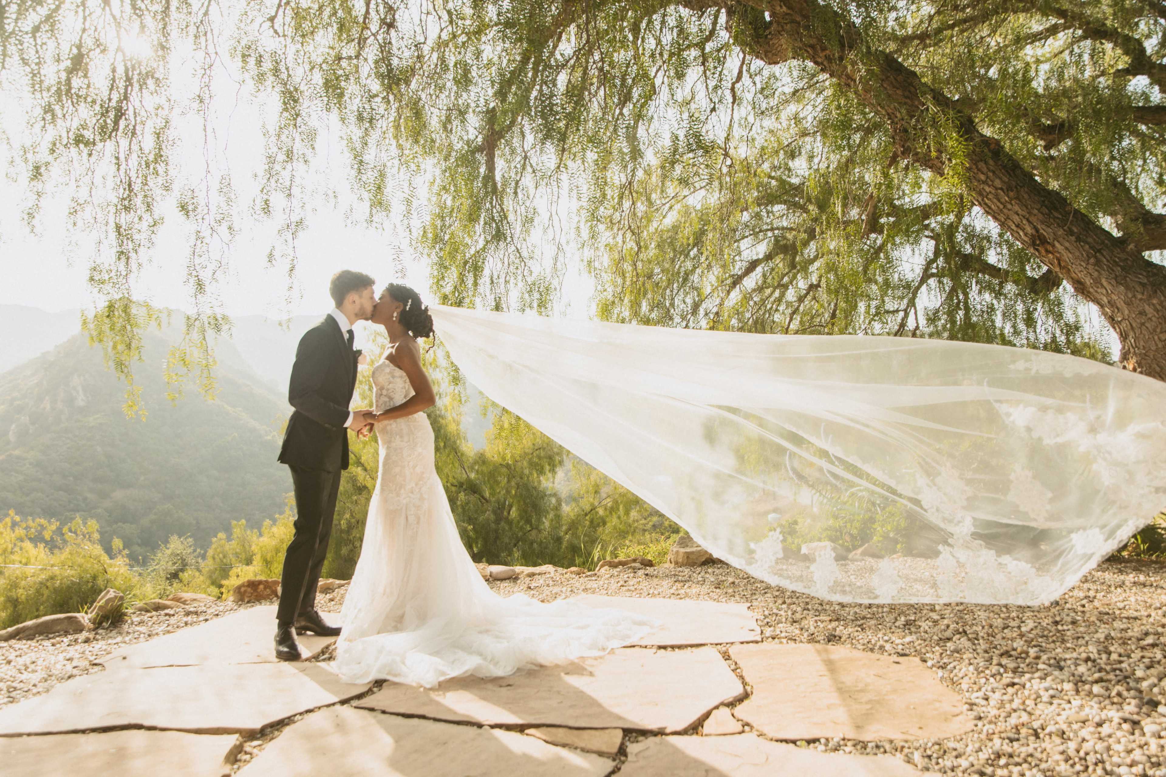 A bride and groom kiss under a tree, with the bride's veil flowing in the wind against a mountainous backdrop.