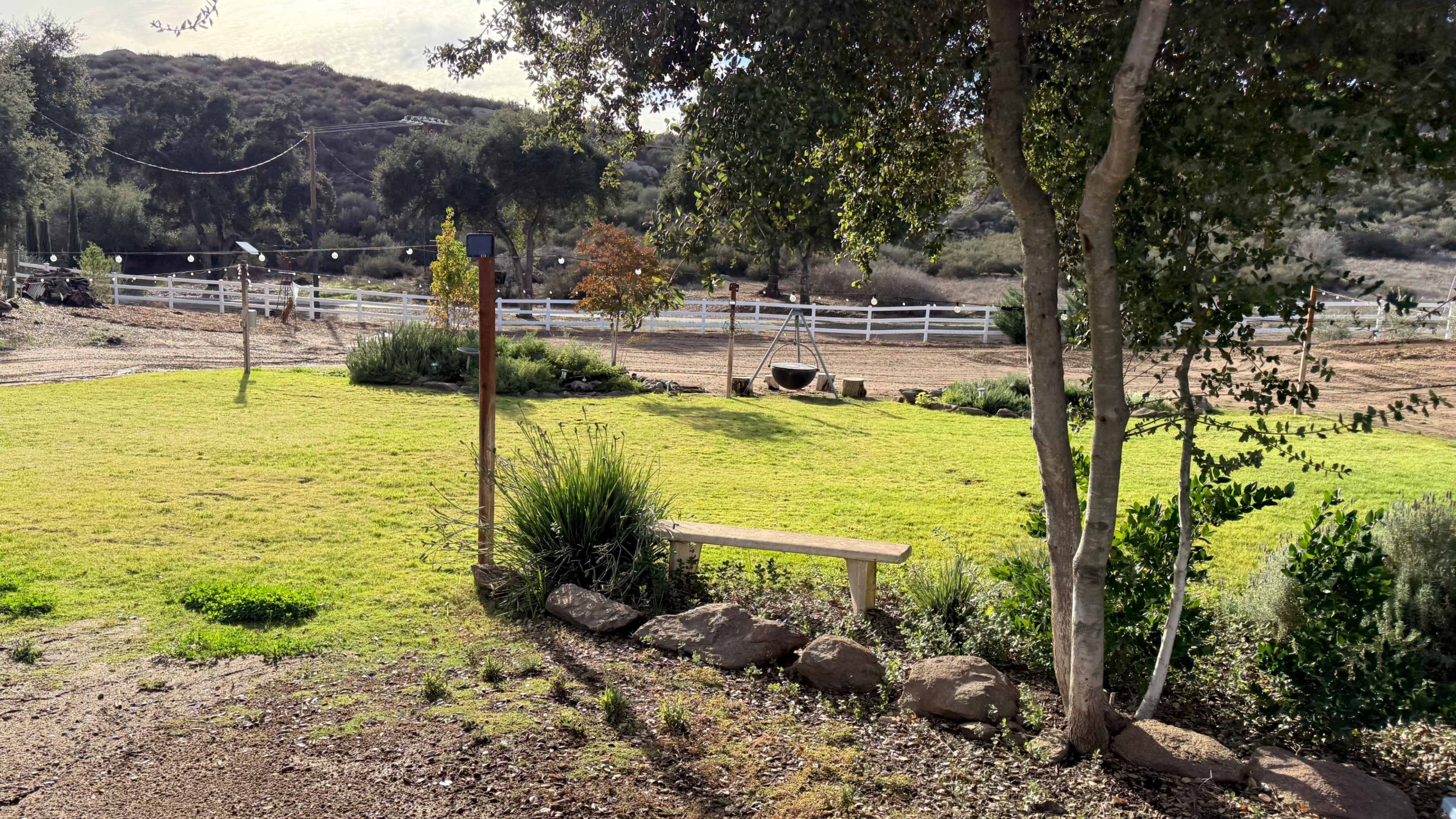 A grassy area with a wooden bench and rocks borders a dirt path lined by trees and fences in a rural setting.
