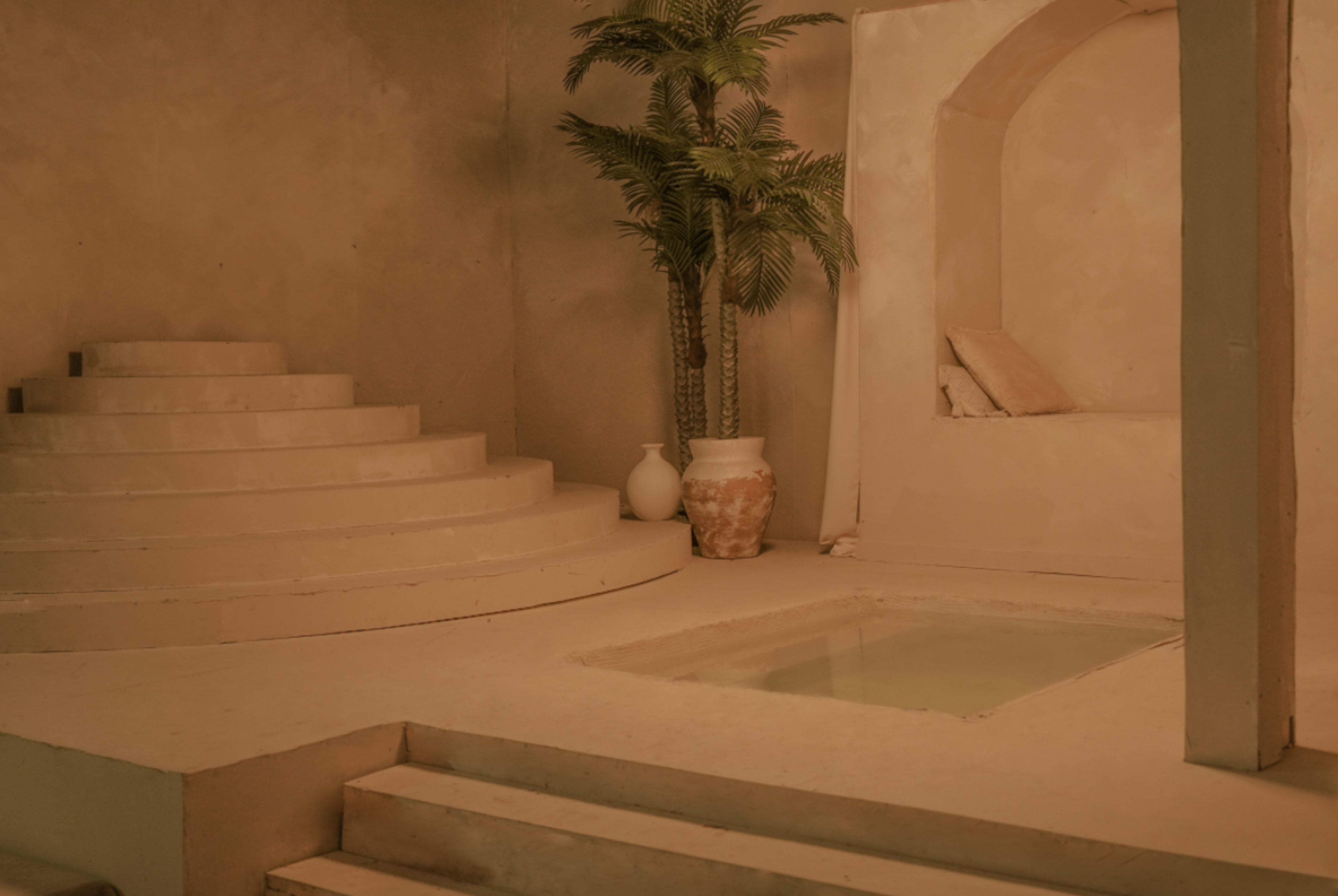 The image shows a minimalist interior design featuring a staircase leading to a small platform with a water pool, surrounded by neutral-colored walls and a potted palm tree.