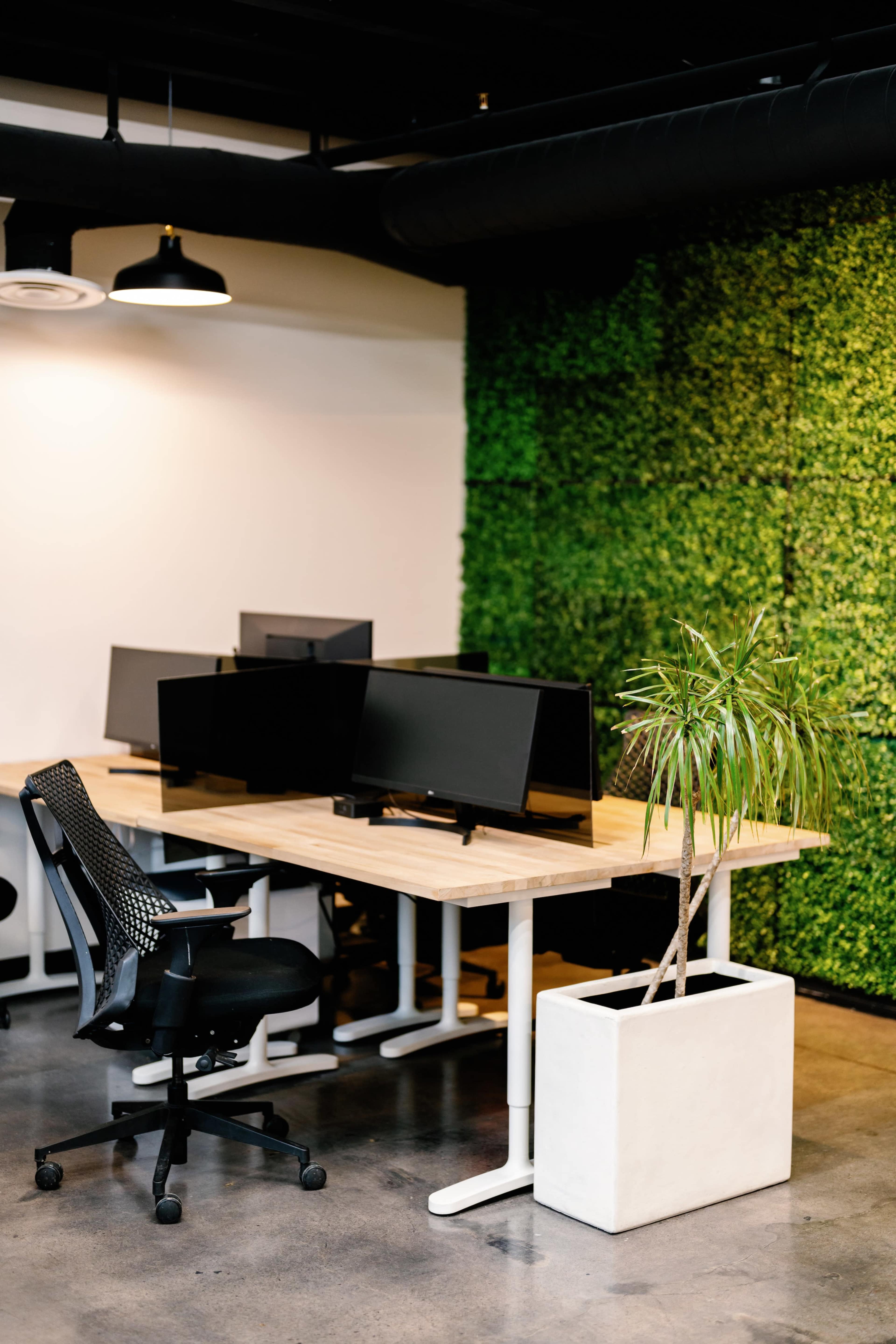 A modern office space with two computer desks, each equipped with monitors, and a potted plant against a green textured wall.
