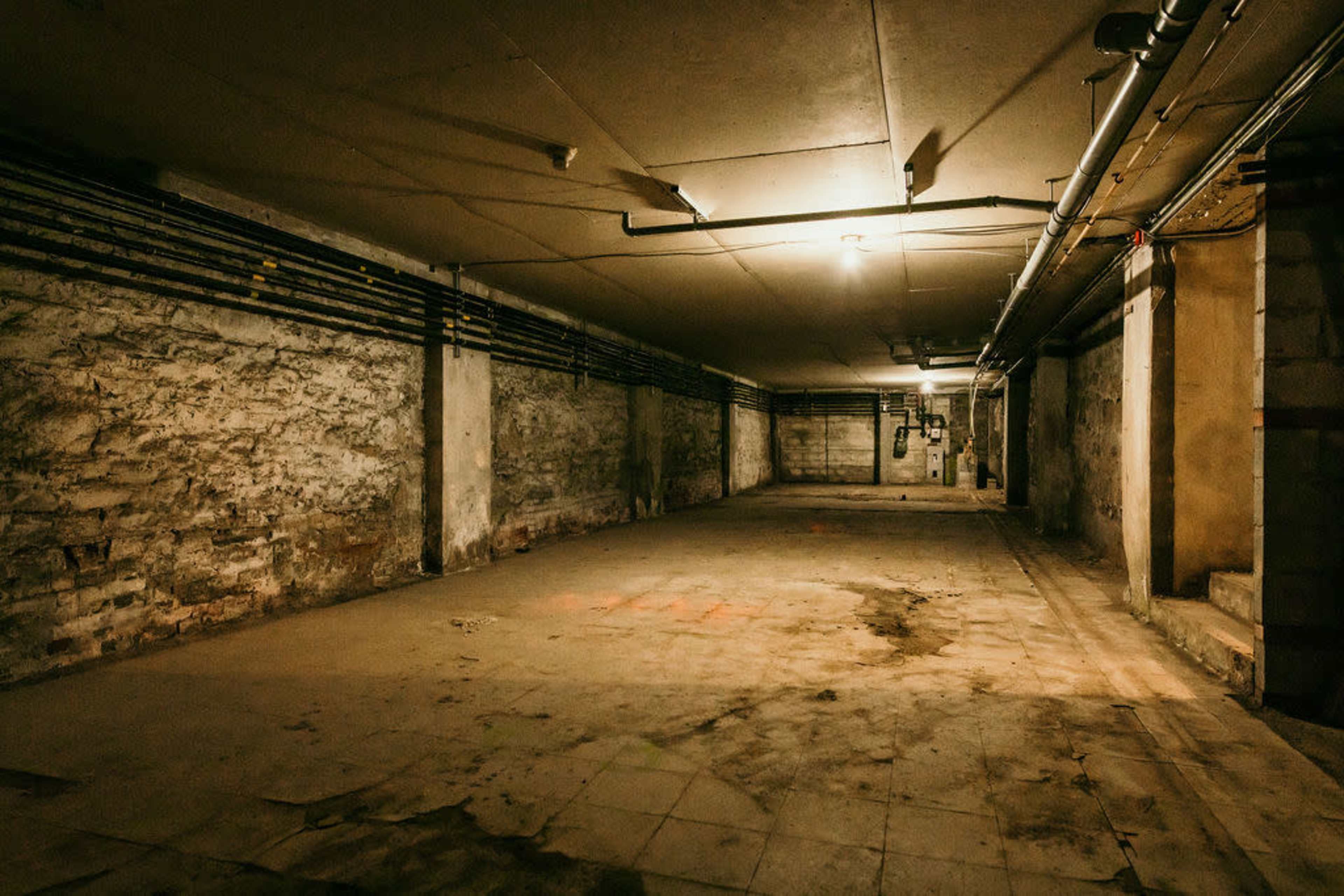 A dimly lit, empty basement with exposed pipes and rough stone walls.