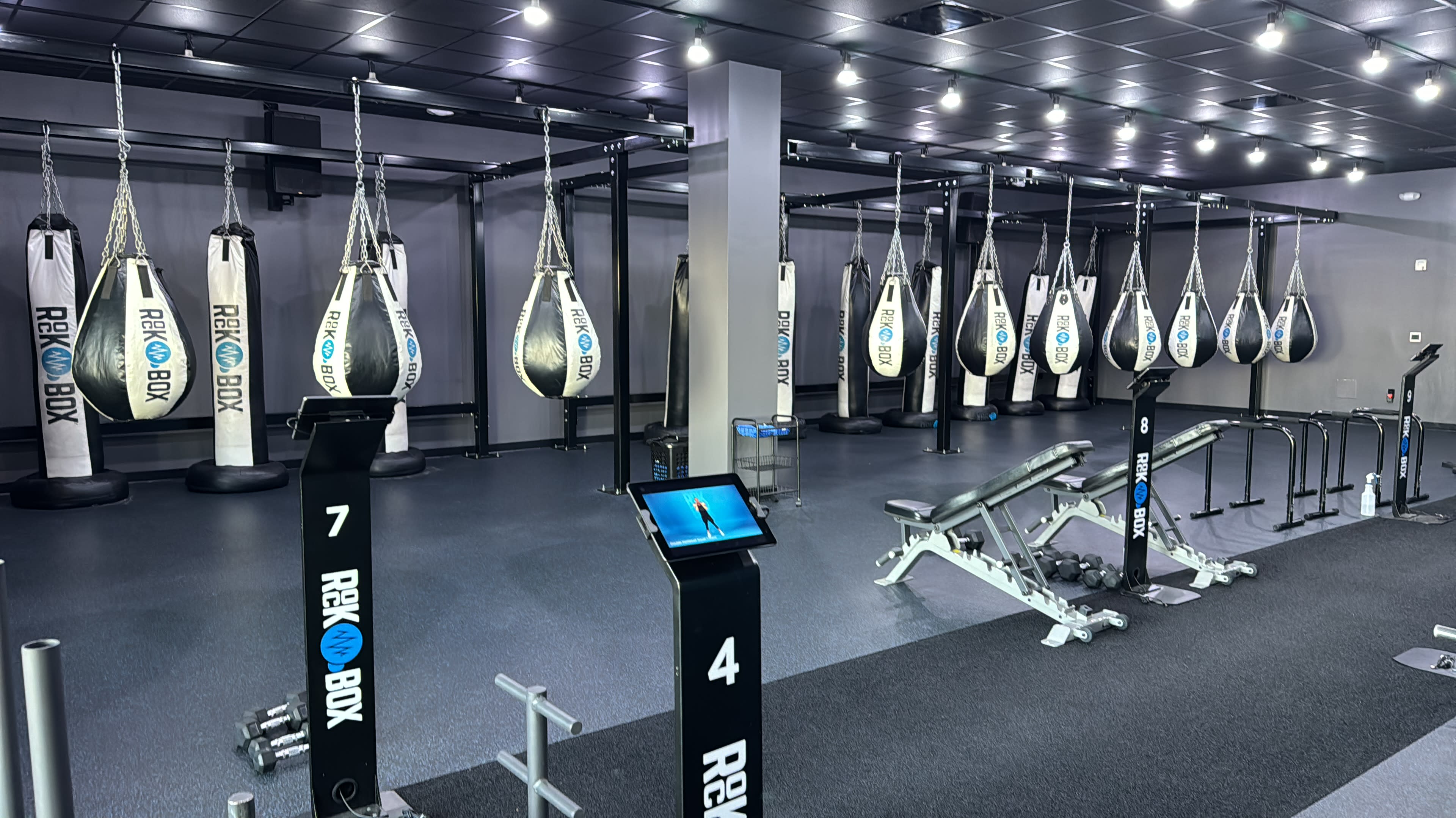 Premium Boxing-Style Fitness Studio | Content, Training & Private Events Image in North Raleigh, Raleigh, NC