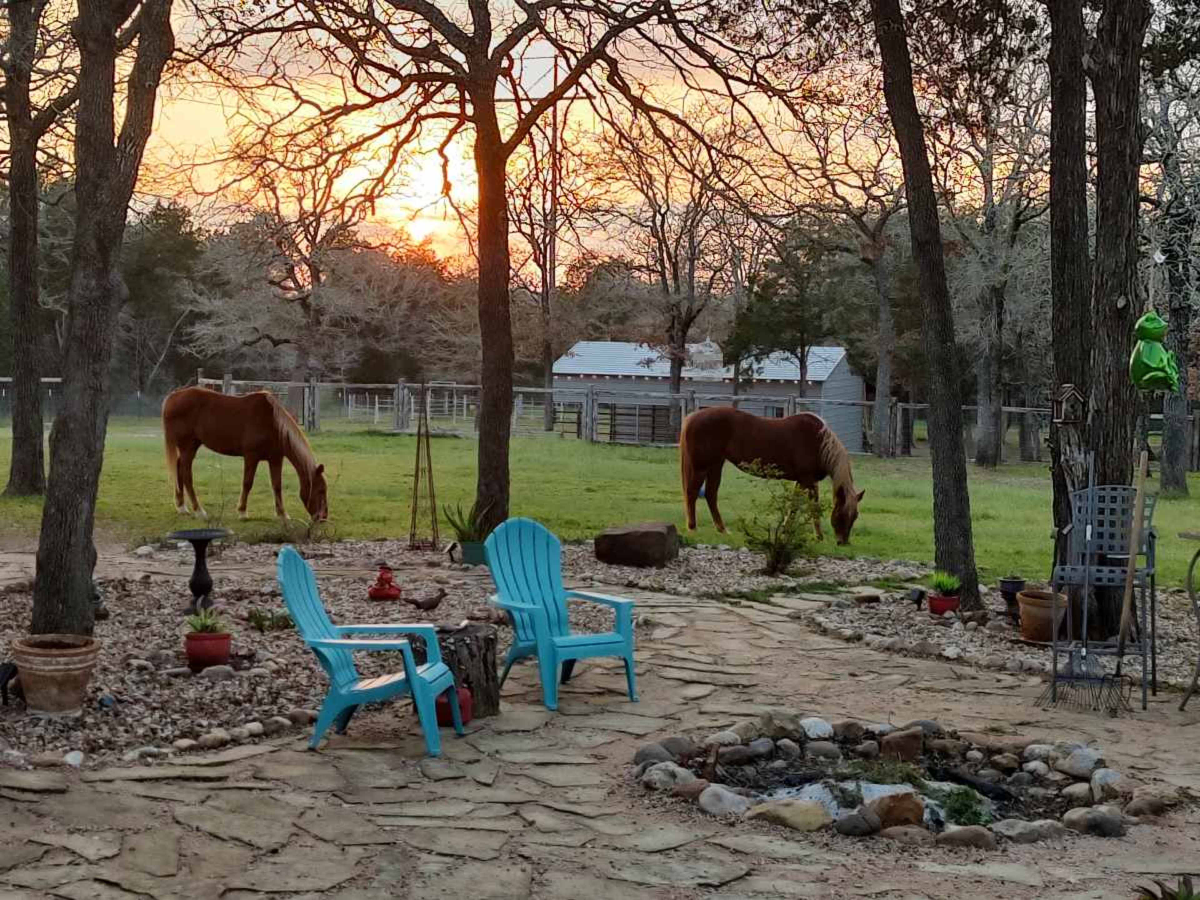 Quaint Backyard Wedding Space with Honeymoon suite Image in , Bastrop, TX