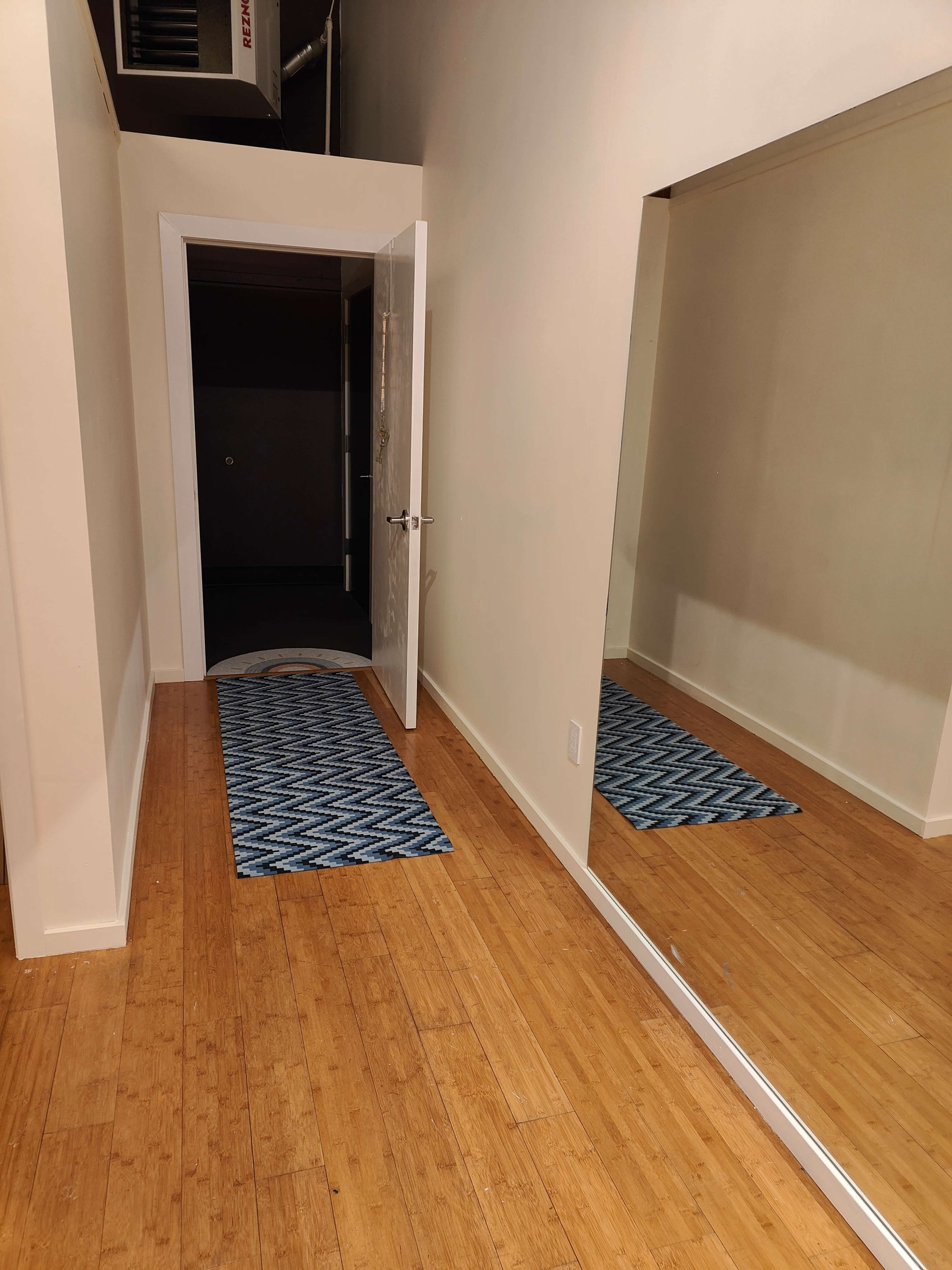 The image shows a hallway with a blue patterned rug, an open door leading to a dark room, and a large mirror on the wall.