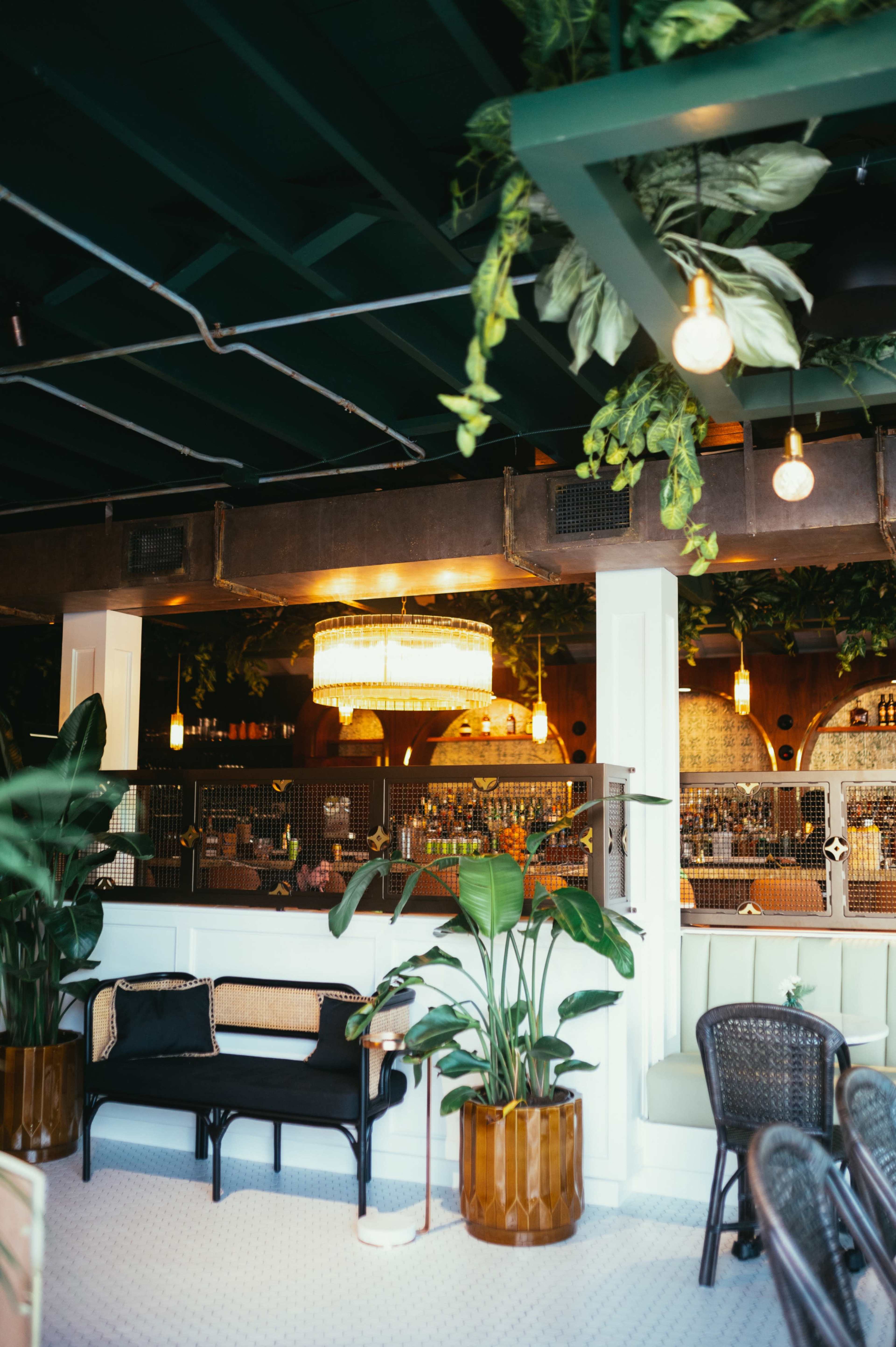 The image shows a stylish restaurant interior featuring a bar area, hanging plants, a chandelier, and seating with black cushions.