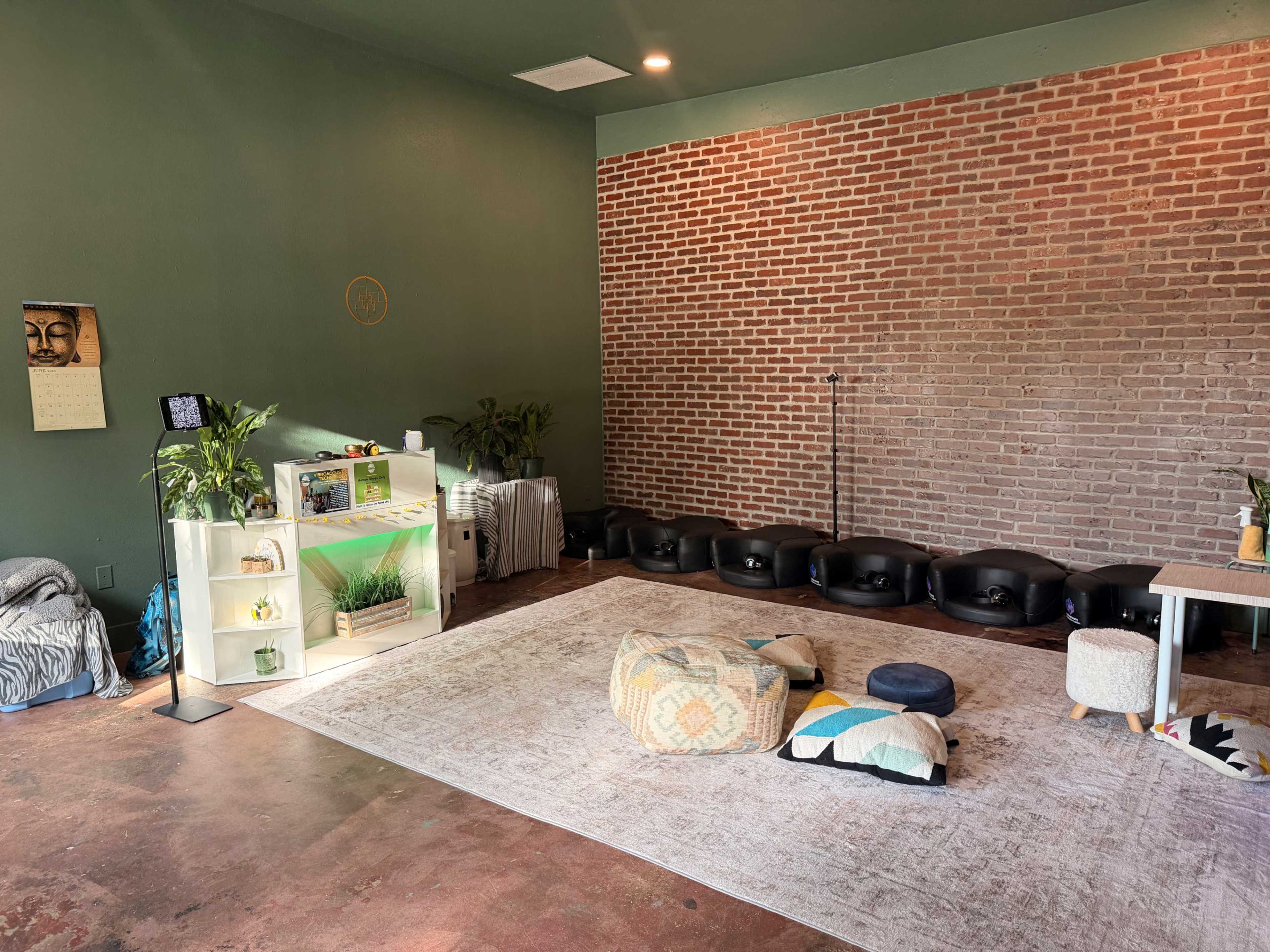 The image shows a spacious room with brick walls, a large area rug, various seating cushions, and a shelf displaying plants and decorative items.