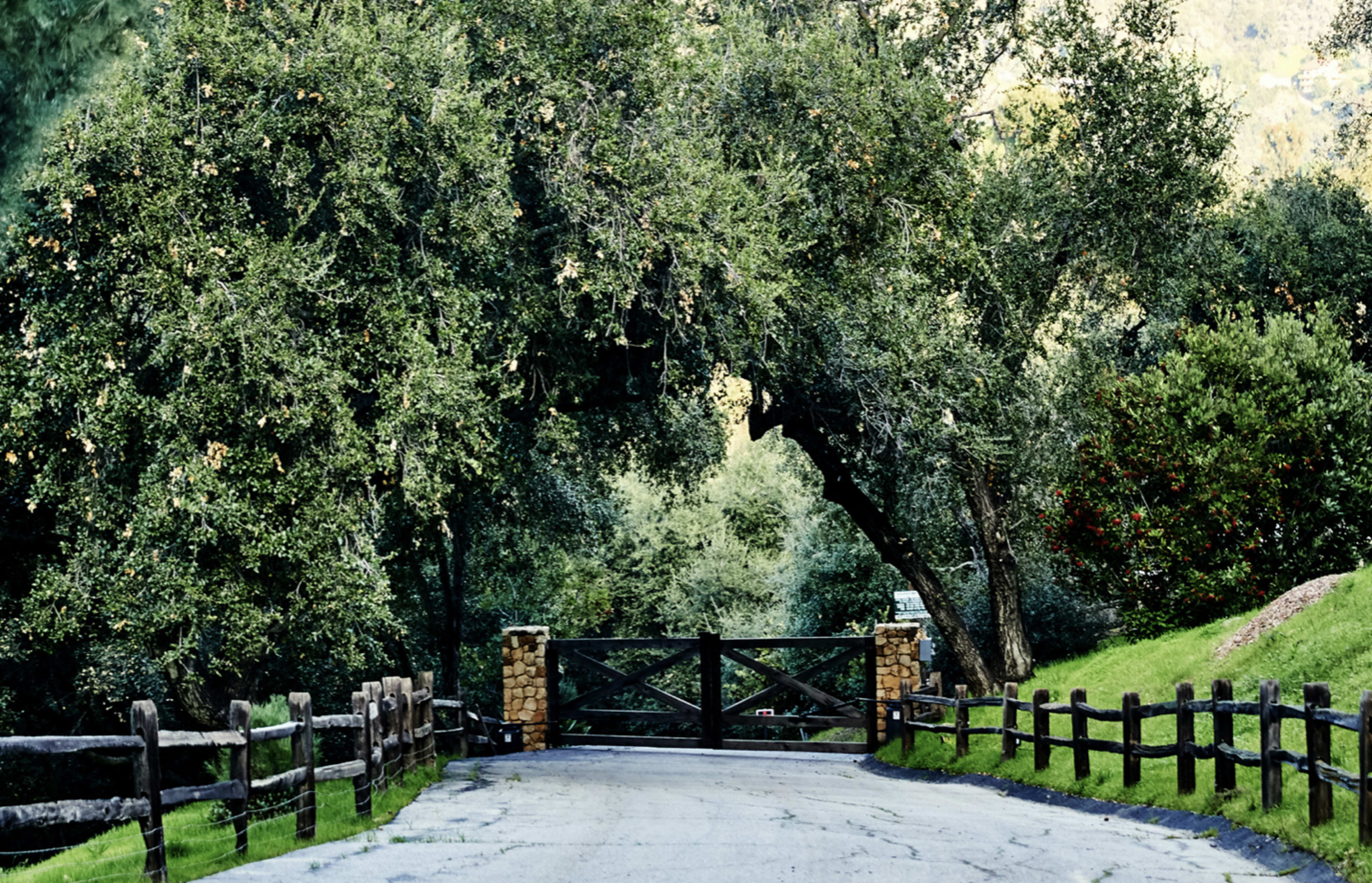 A gated entrance is situated at the end of a tree-lined road, flanked by wooden fencing and lush greenery.