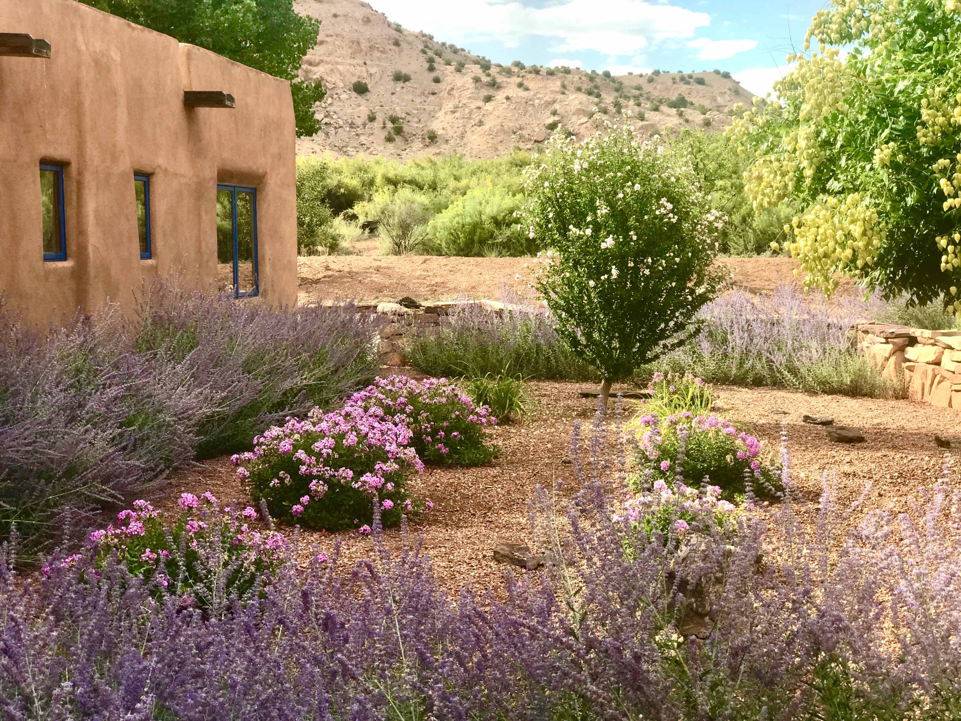 A rustic adobe building is surrounded by lavender and colorful flowers in a landscaped garden with rocky ground and sparse trees.