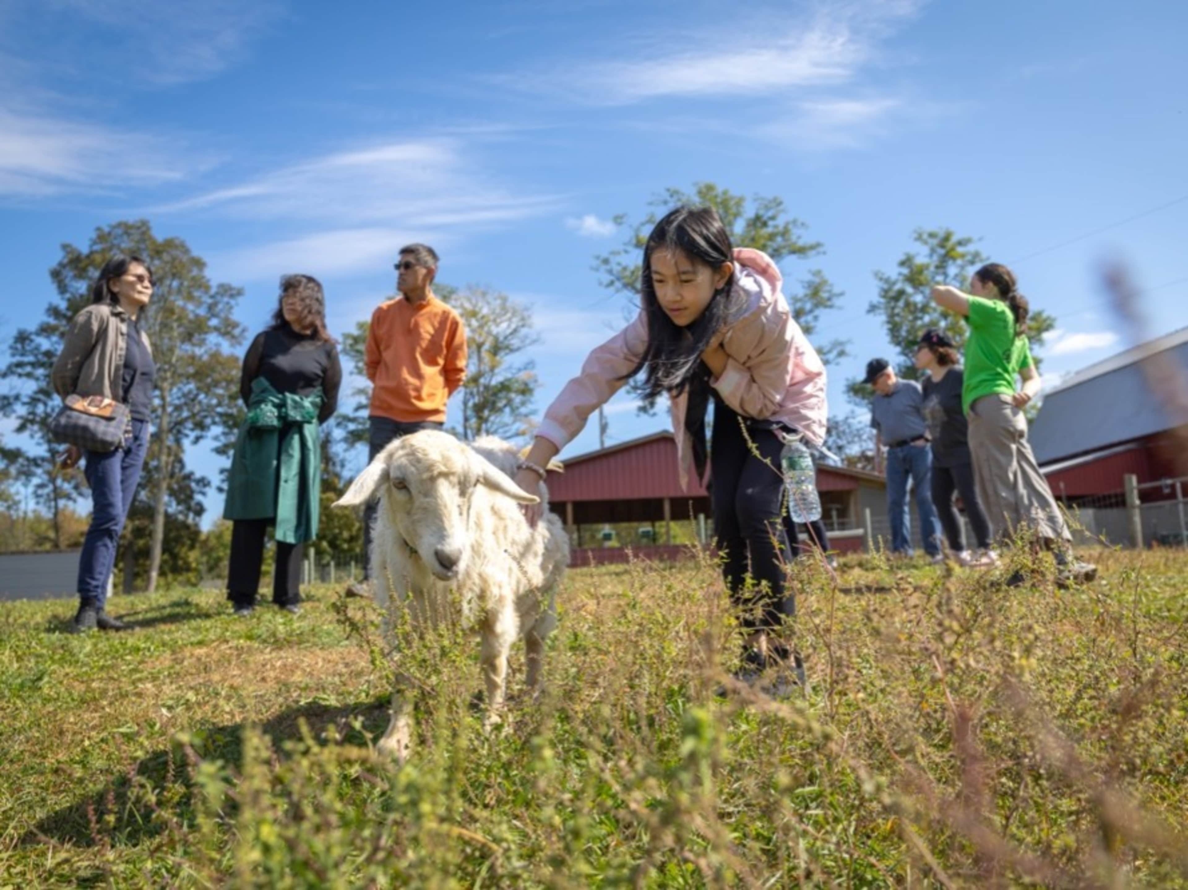 Farm Tour