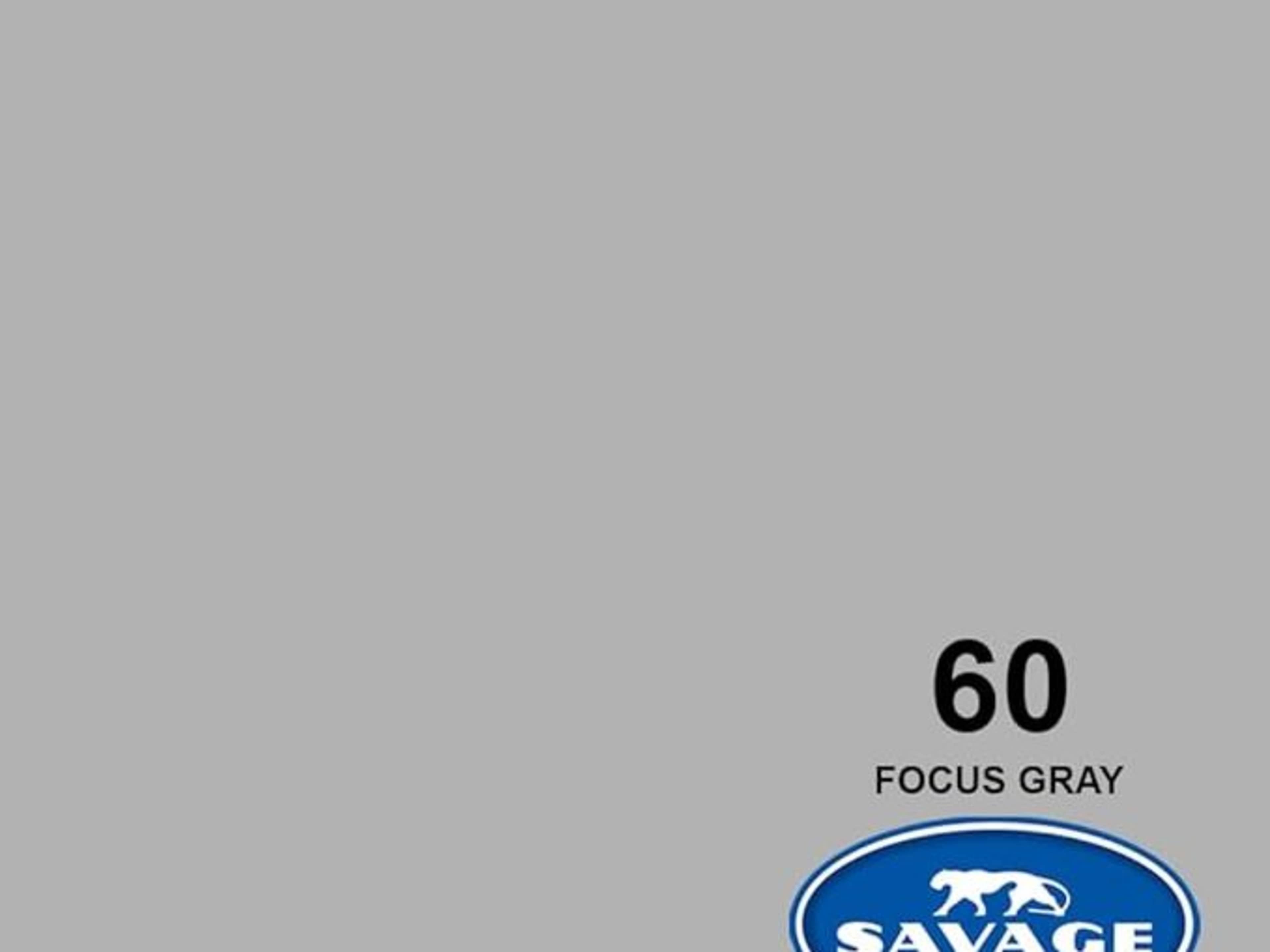 Focus gray 60  107 Seamless backdrop one pull