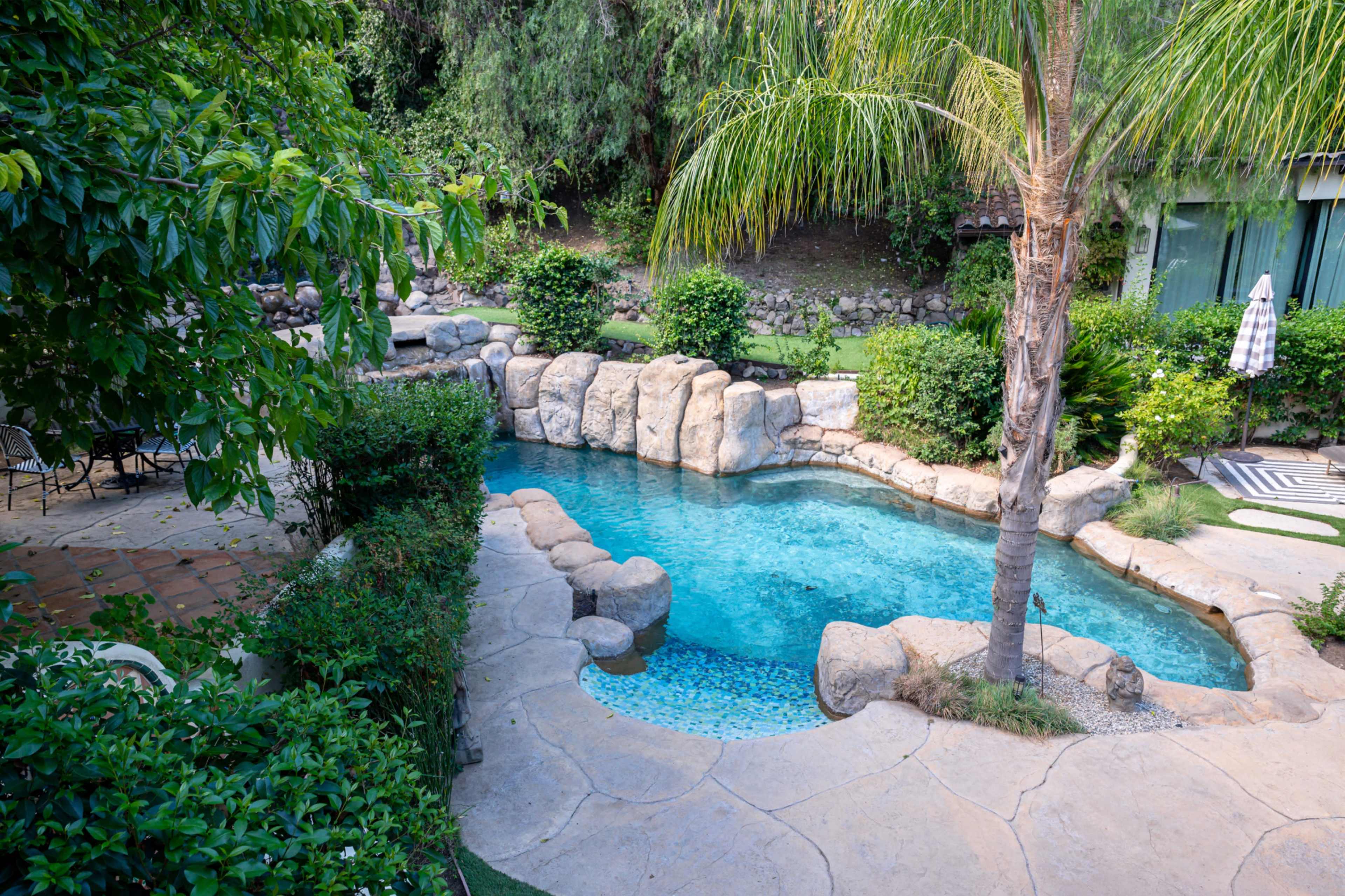 A naturalistic swimming pool with rocky edges and surrounding greenery is framed by palm and ornamental plants.